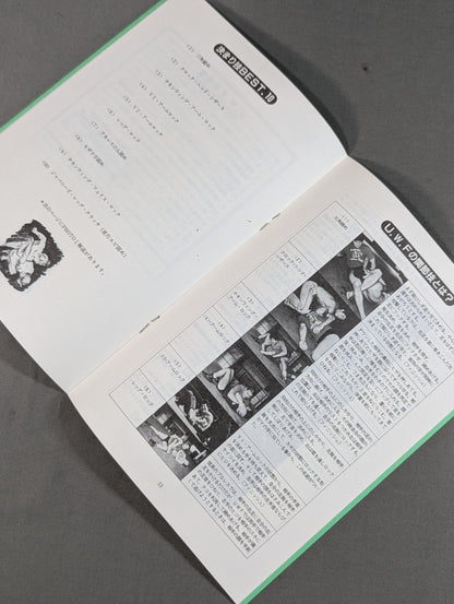 特別記念号《保存版》UWF誕生から未来へ