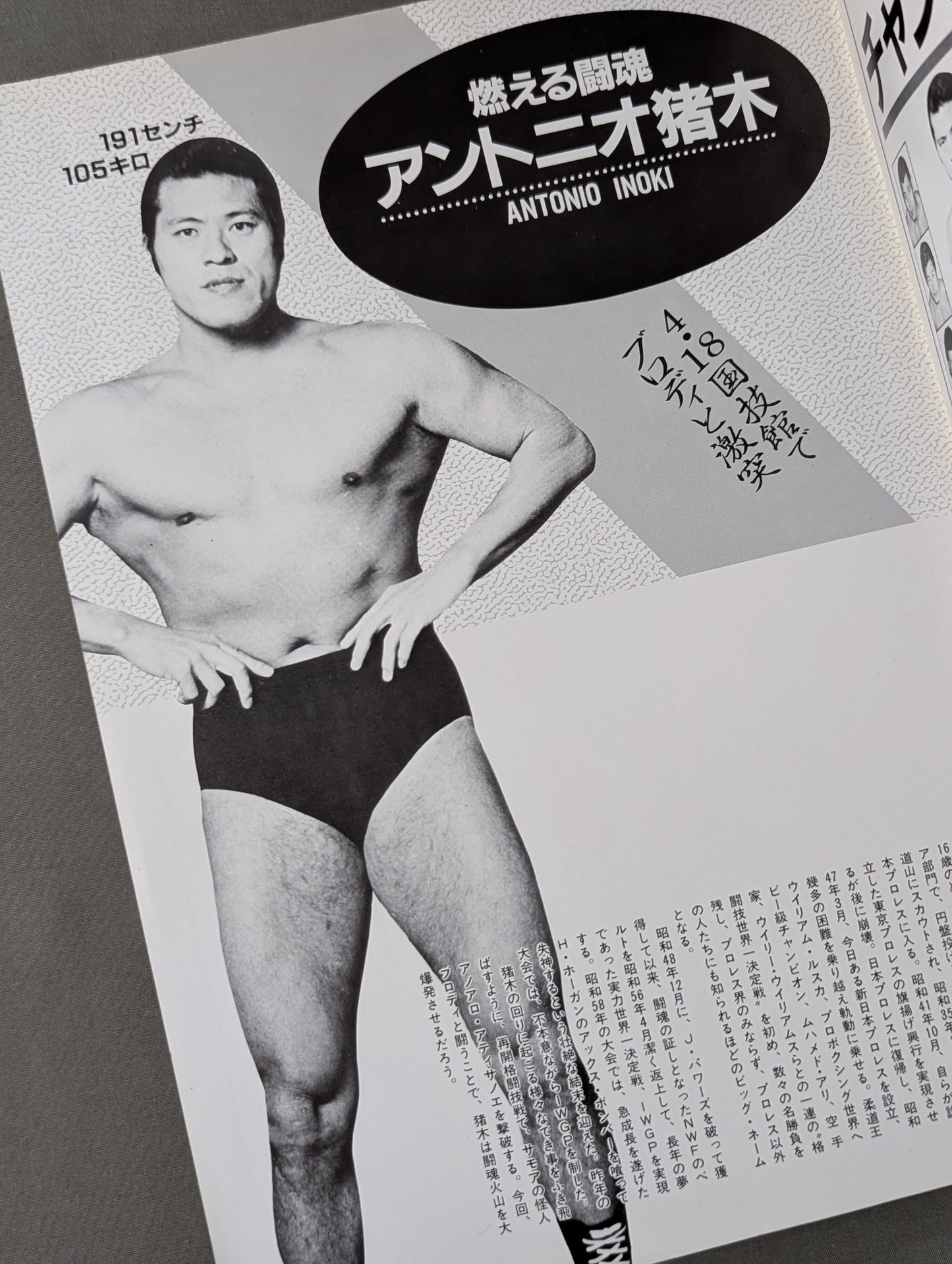 ★ Fate Match ★ Inoki vs Bruiser Brody Fighting spirit special special extra issue