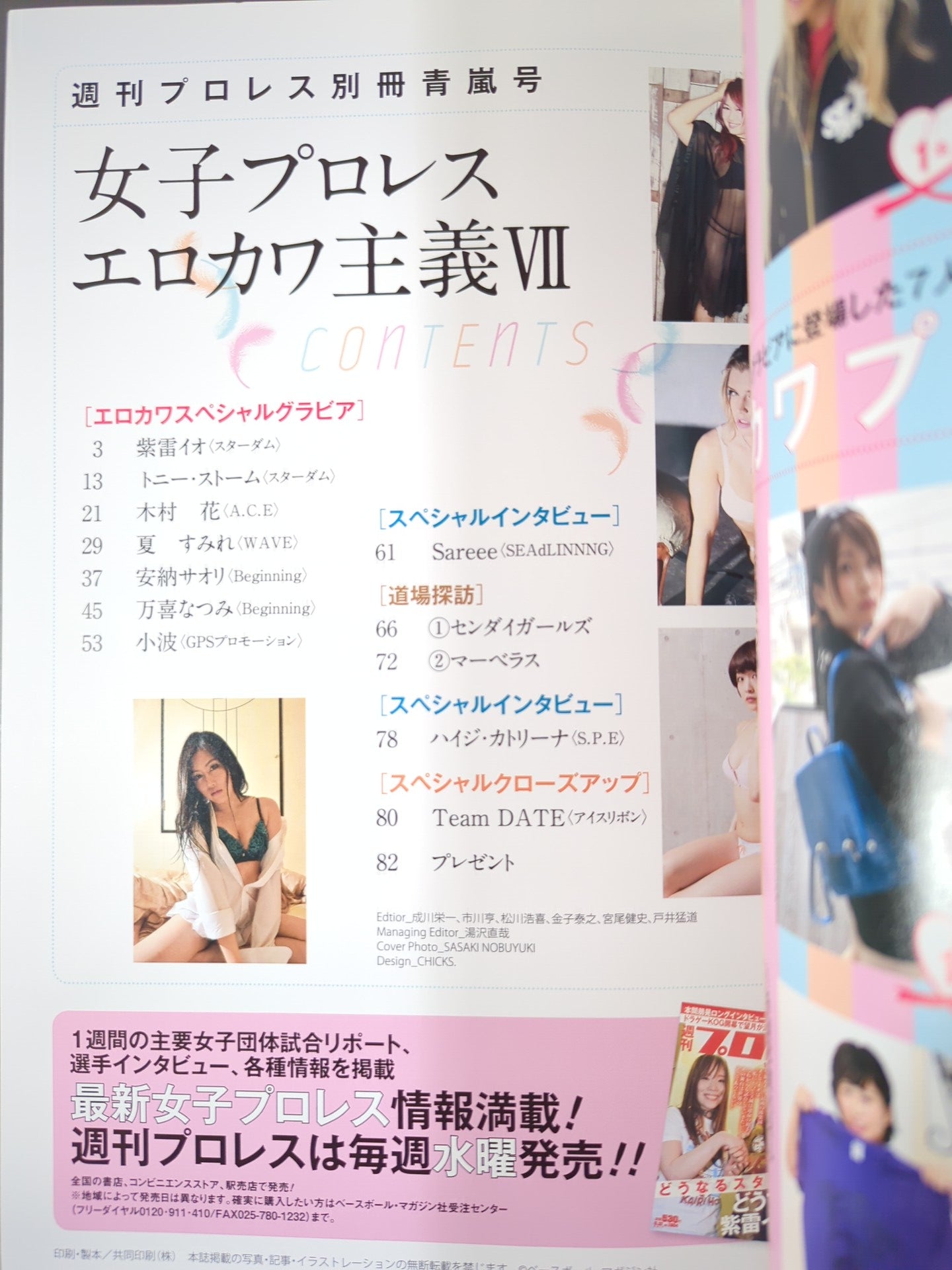 Appendix 141 of Weekly Pro Wrestling  "Women's Pro Wrestling  Erokawa-ism VII."