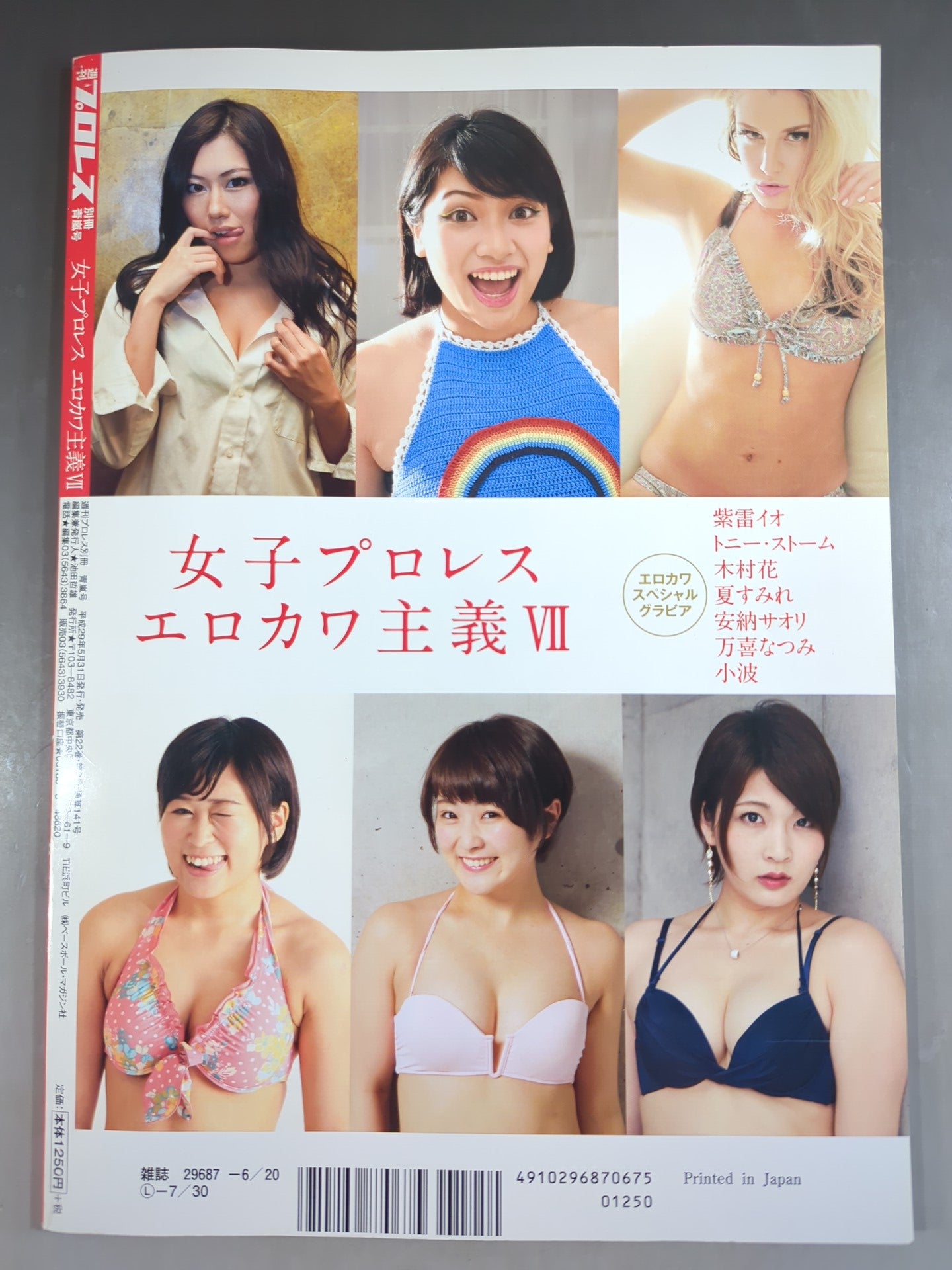 Appendix 141 of Weekly Pro Wrestling  "Women's Pro Wrestling  Erokawa-ism VII."