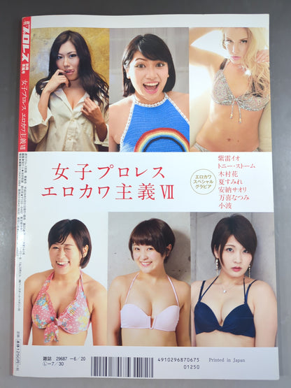 Appendix 141 of Weekly Pro Wrestling  "Women's Pro Wrestling  Erokawa-ism VII."