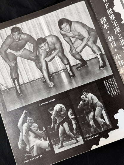 【半券貼付】★猪木vsルー・テーズ NWF戦★ 75闘魂シリーズ第1弾(最終戦)