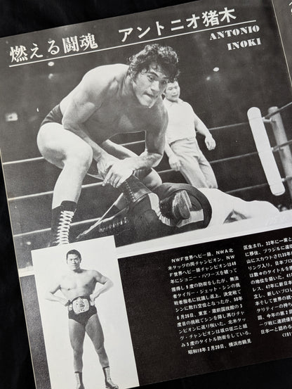 【半券貼付】★猪木vsルー・テーズ NWF戦★ 75闘魂シリーズ第1弾(最終戦)