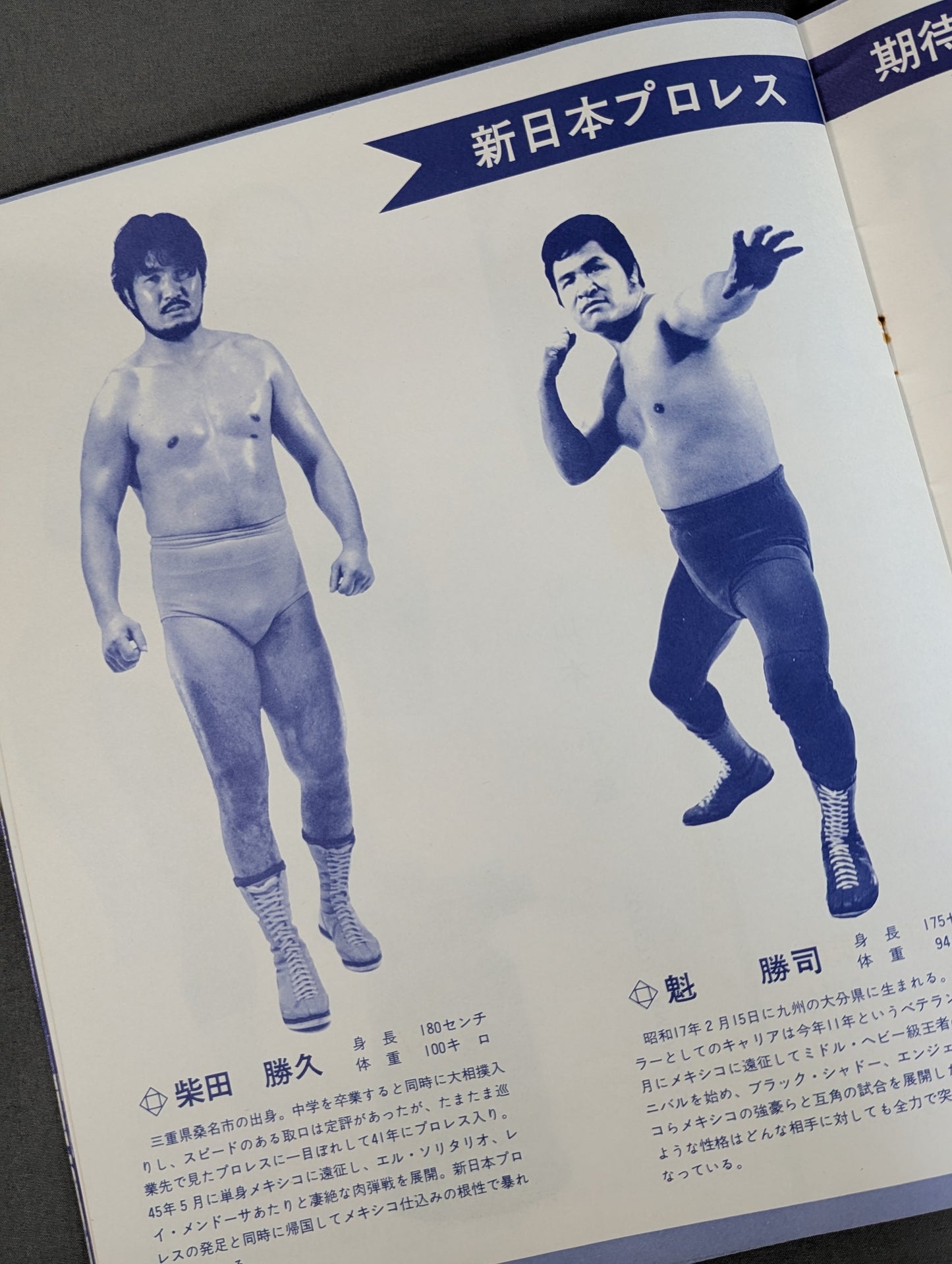 72 New Golden Series / World Fighters Authority Commemorative Issue