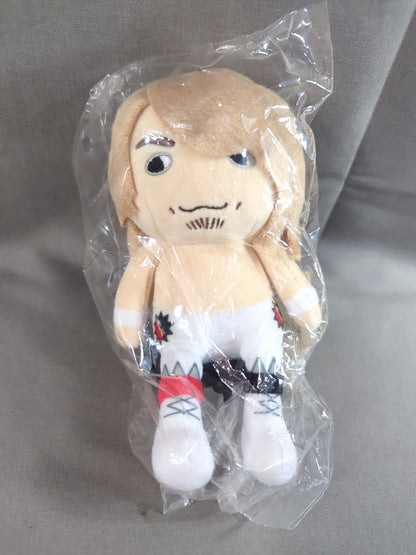 Hiroshi Tanahashi