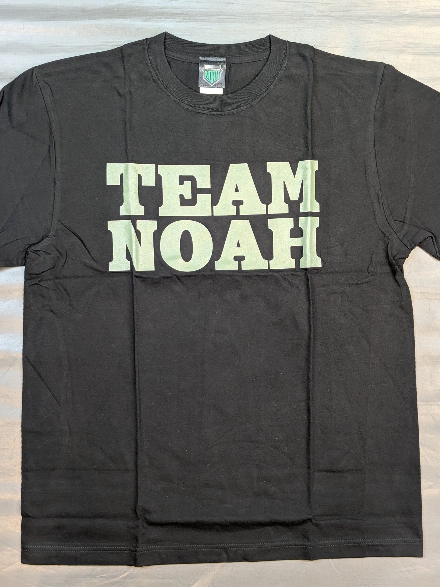 TEAM NOAH Tシャツ(Hi69 ver.)