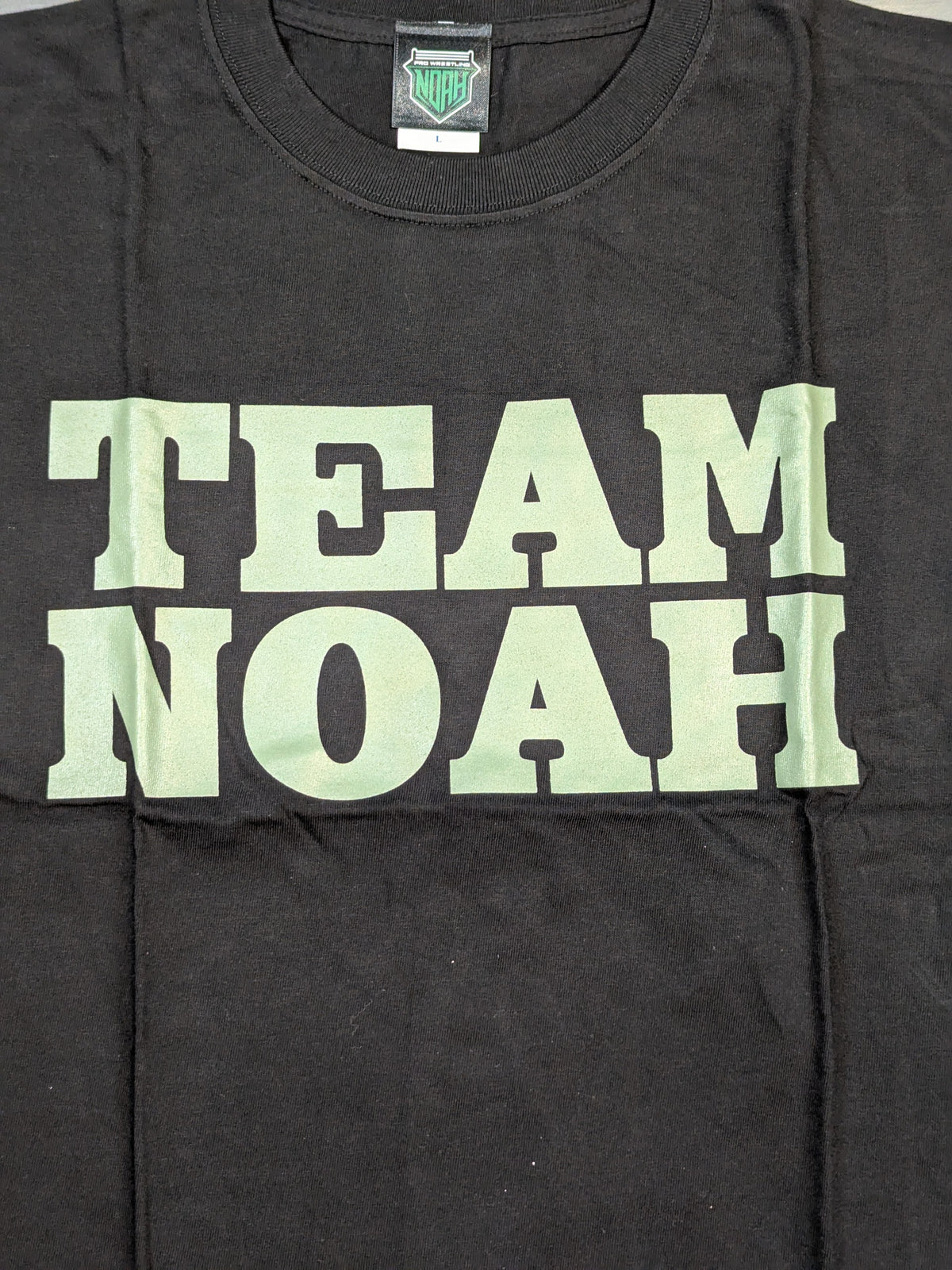 TEAM NOAH Tシャツ(Hi69 ver.)
