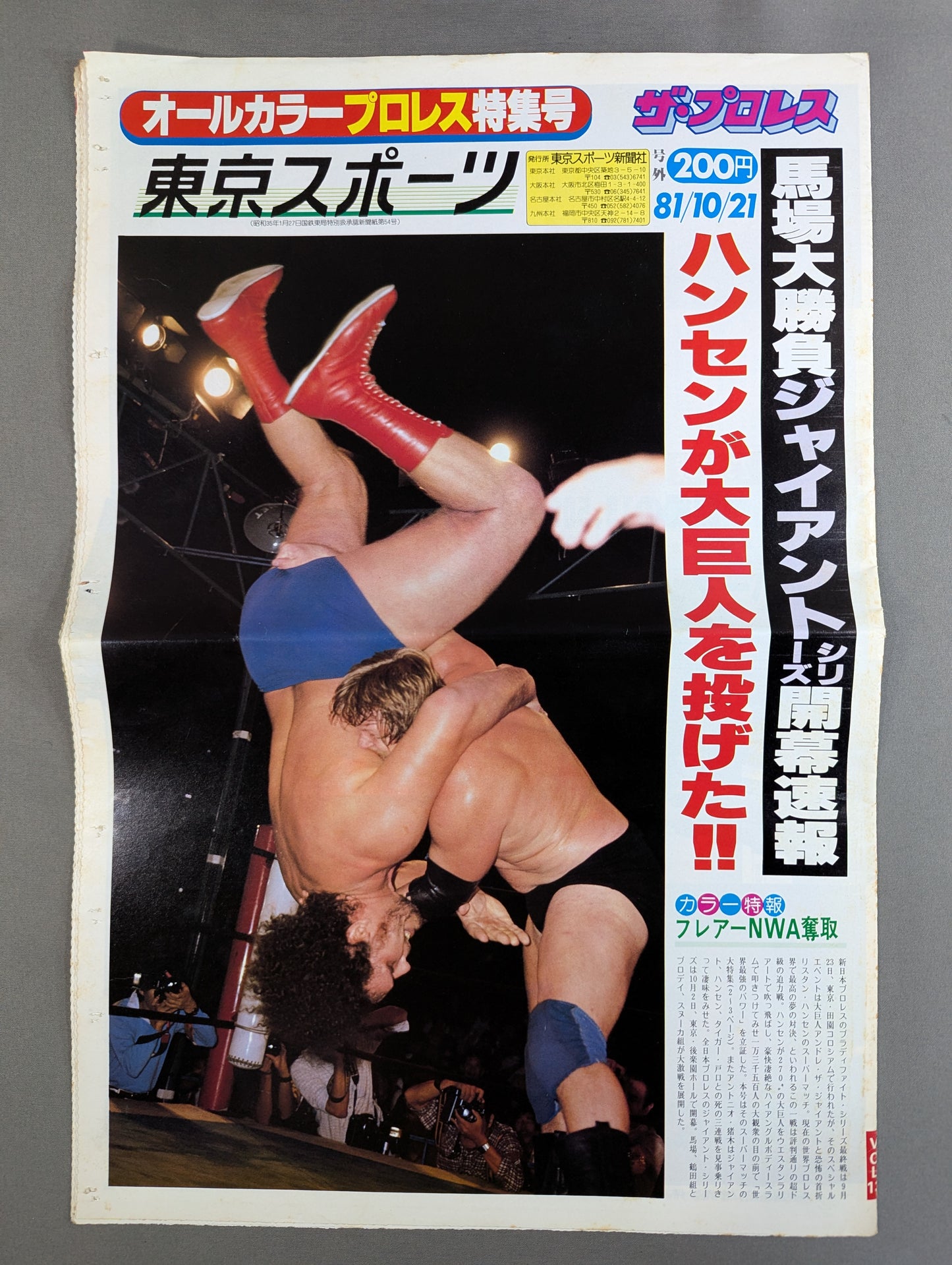ザ・プロレス13