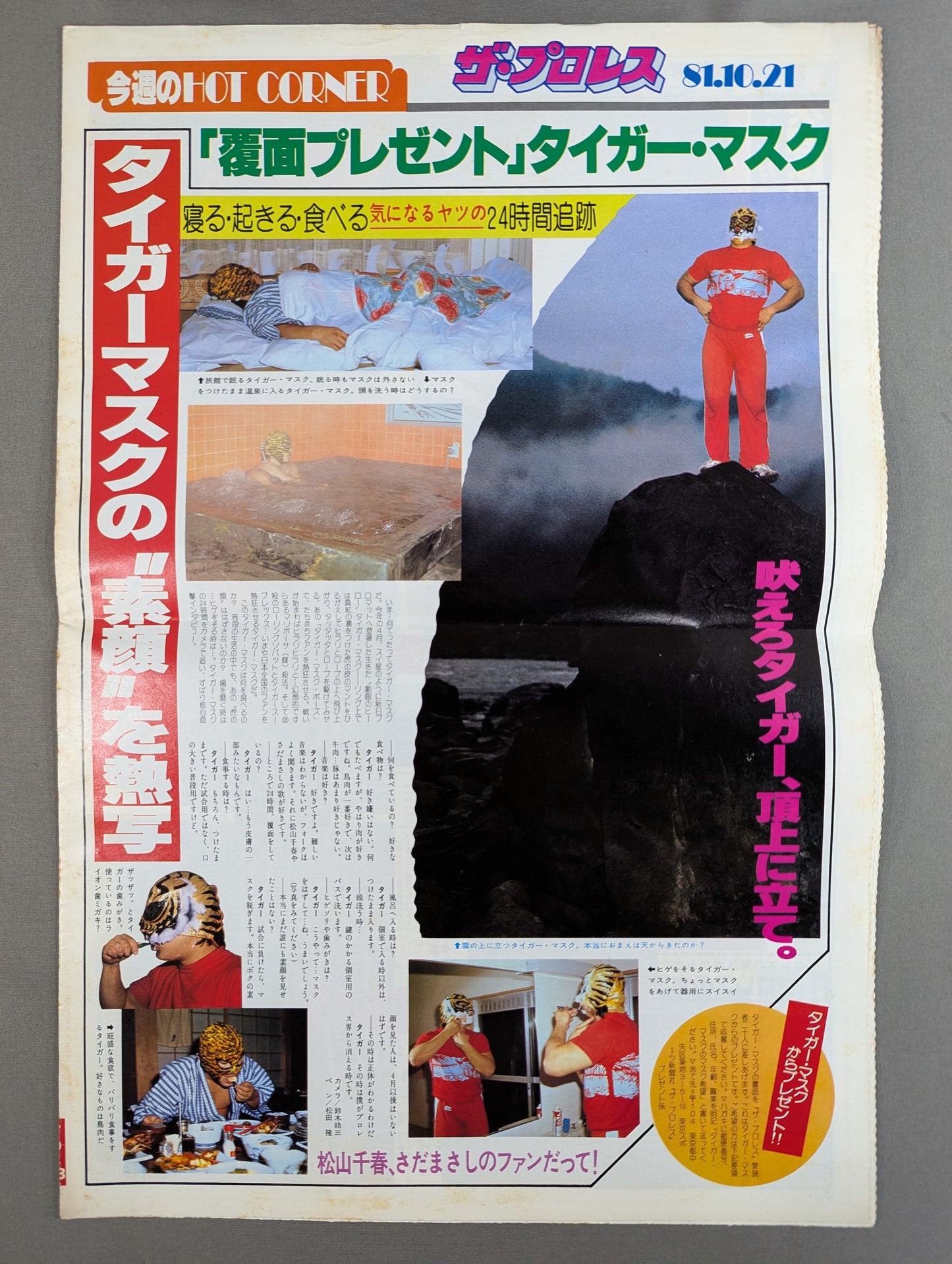 ザ・プロレス13