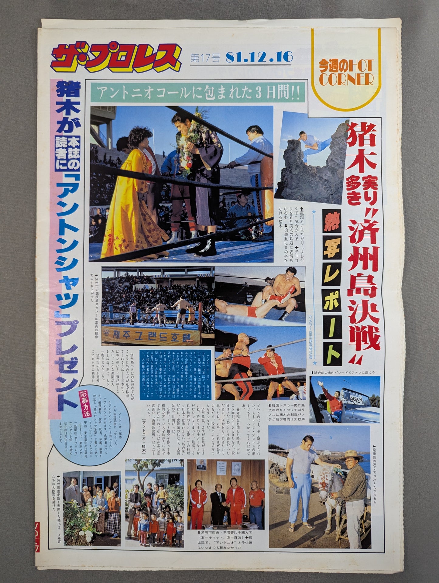ザ・プロレス17