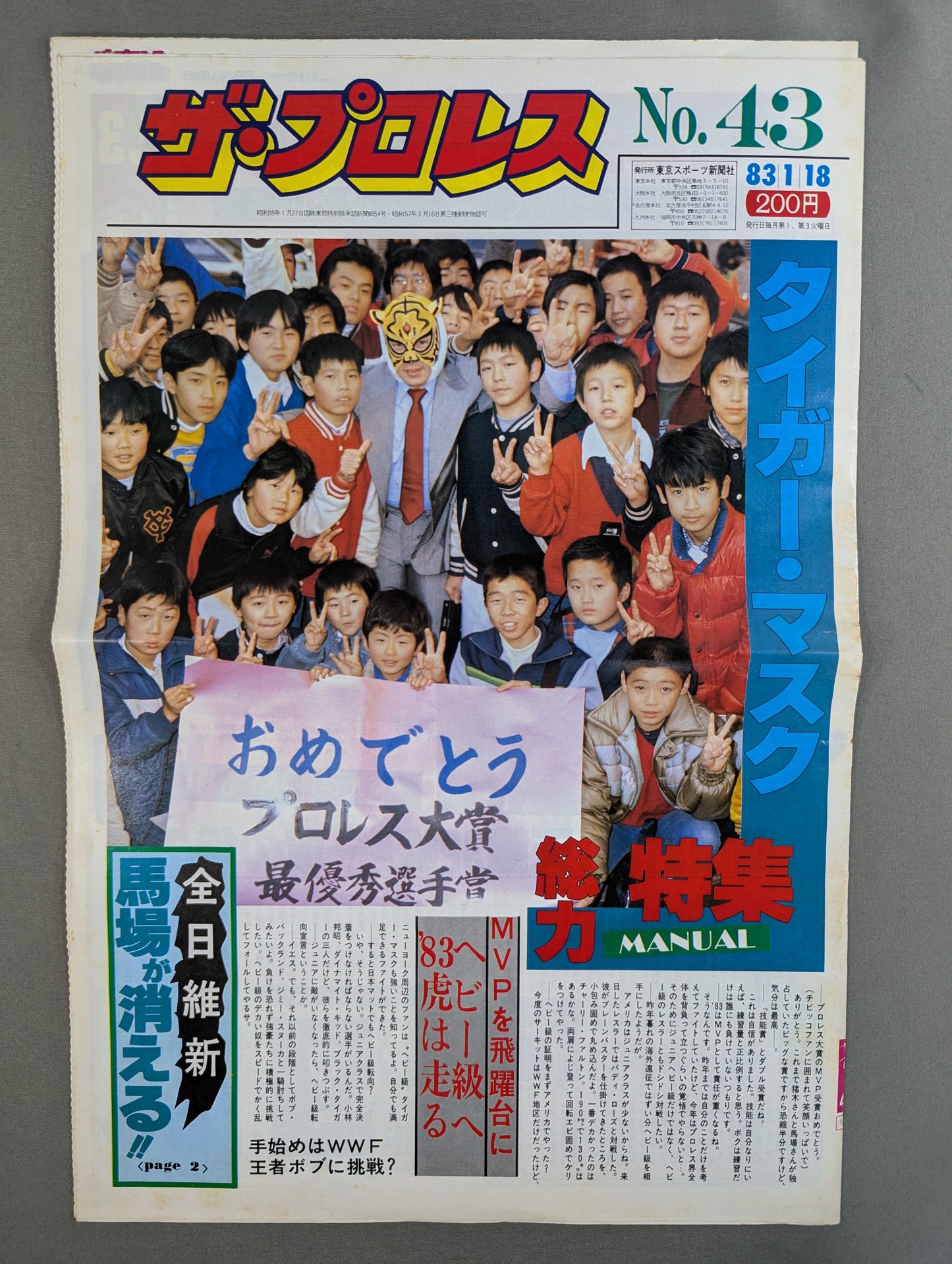 ザ・プロレス43