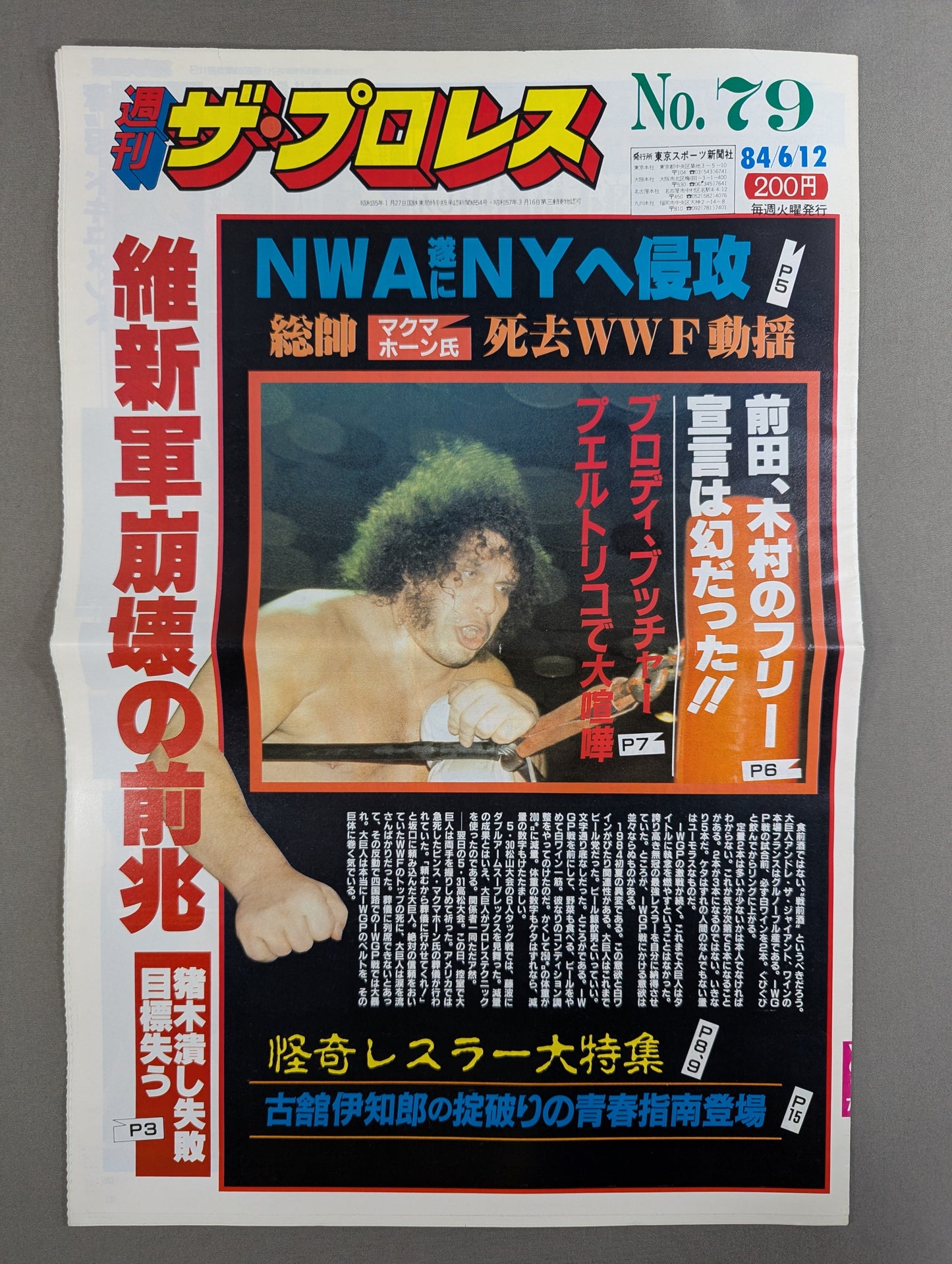 週刊ザ・プロレス79