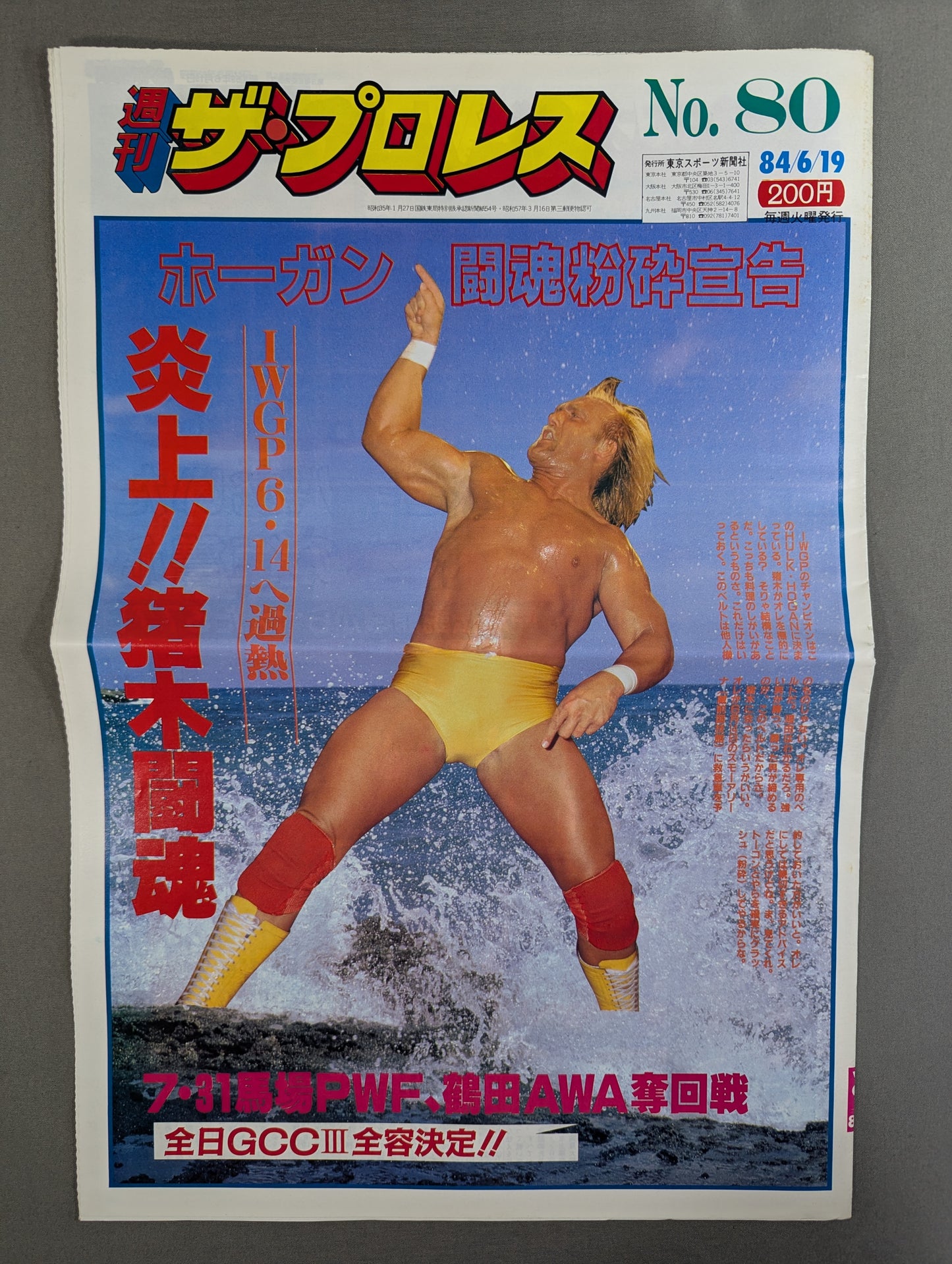 週刊ザ・プロレス80