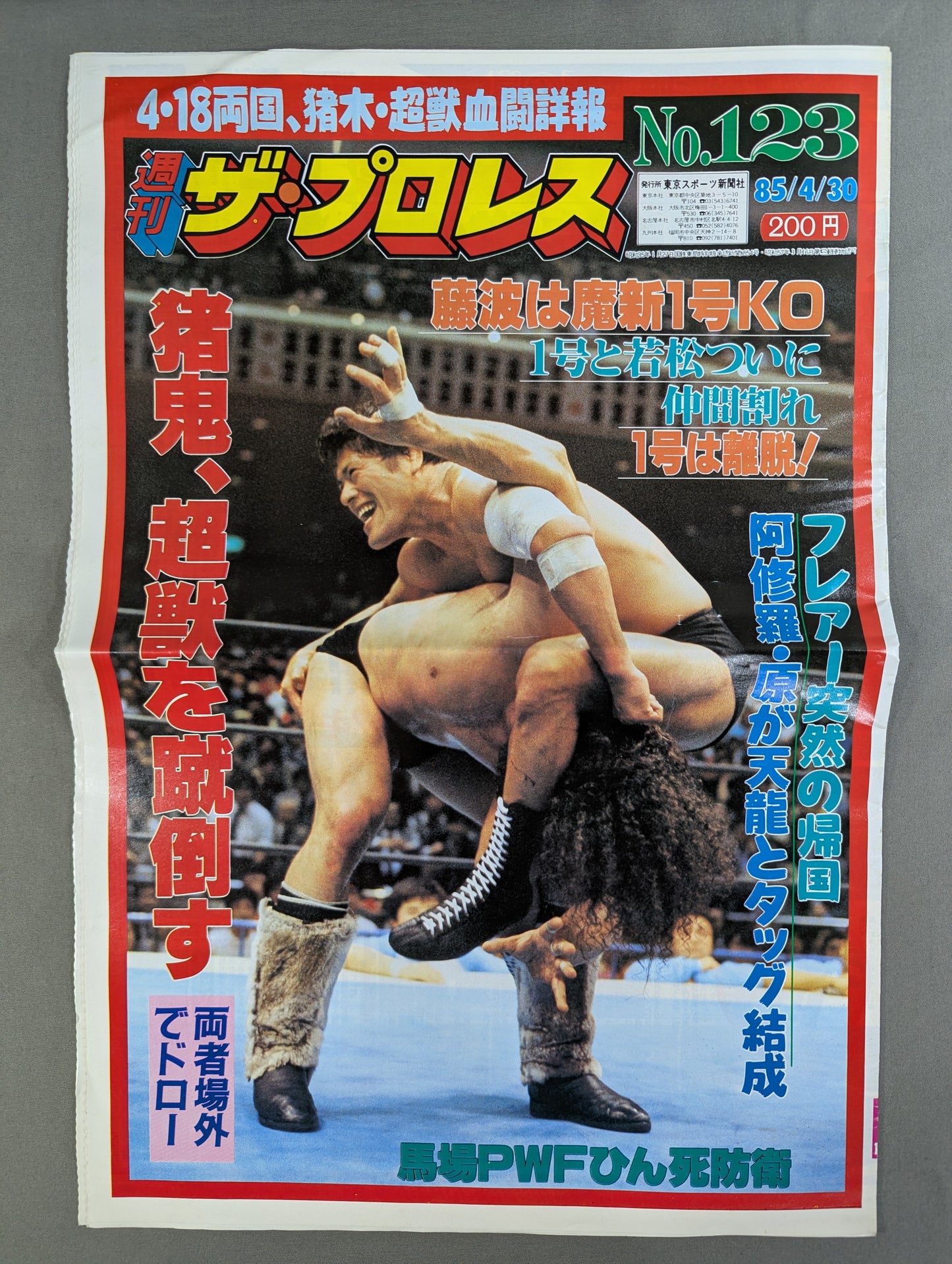 週刊ザ・プロレス123