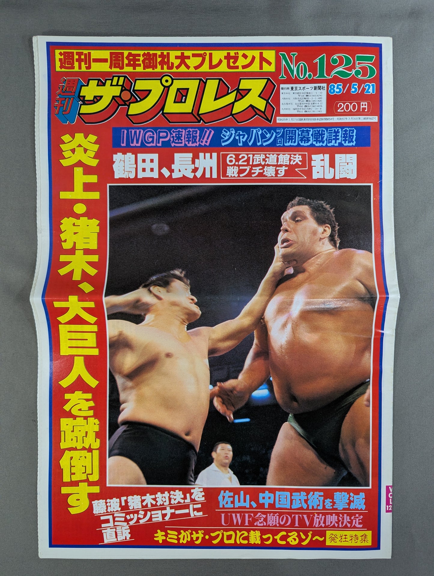 週刊ザ・プロレス125