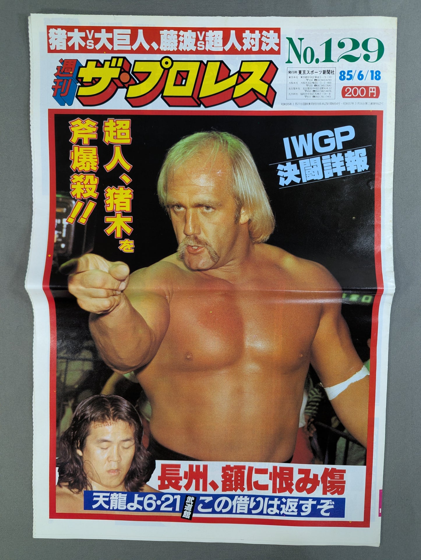 週刊ザ・プロレス129