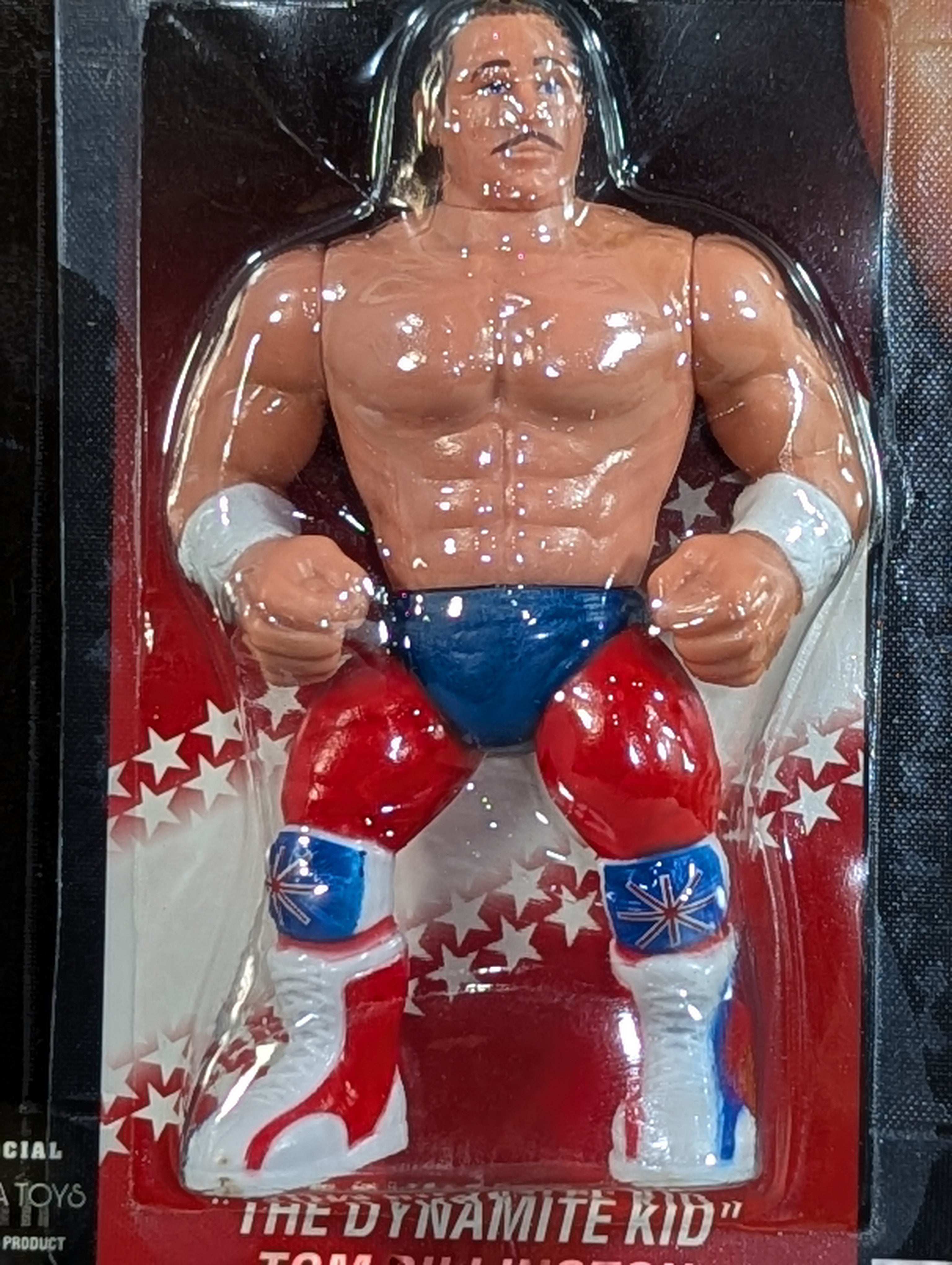 【激レア廃盤】 ダイナマイトキッド　フィギュア WWE プロレス ダイナマイト・キッド / トム・ビリントン (Wrestling Megastars) – 闘道館