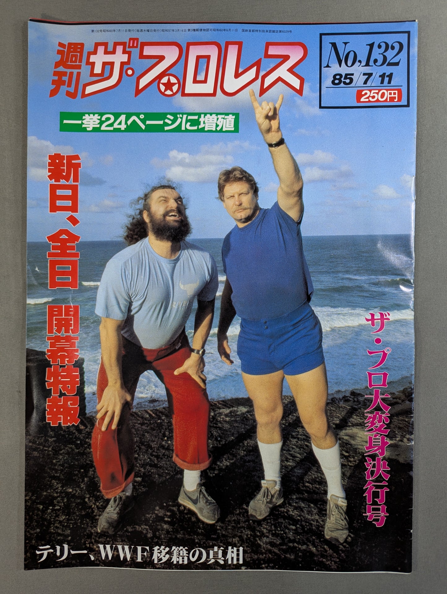 週刊ザ・プロレス132
