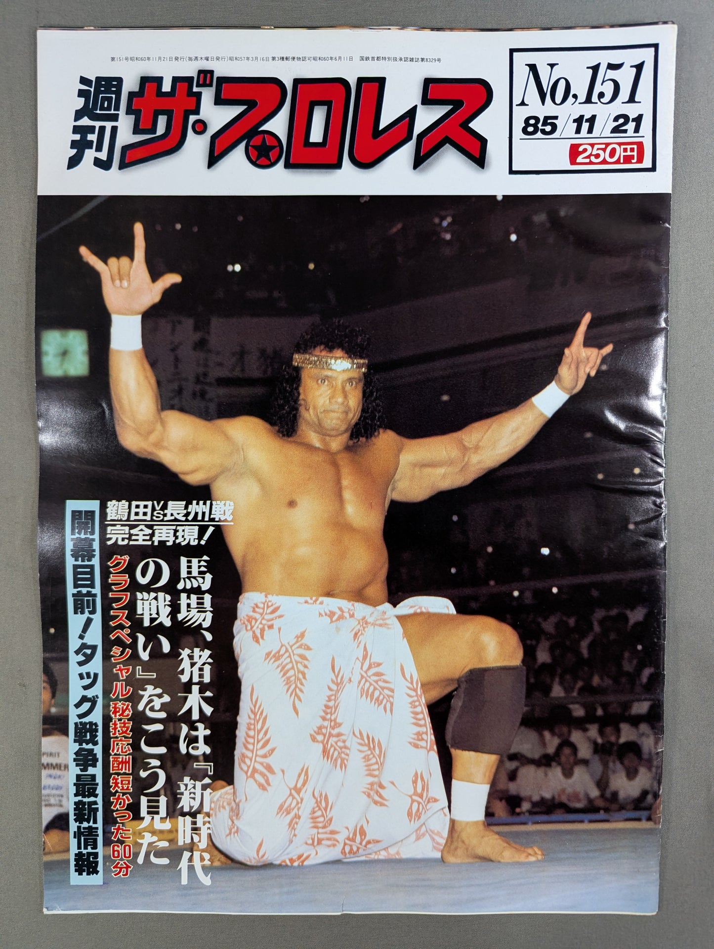 週刊ザ・プロレス151