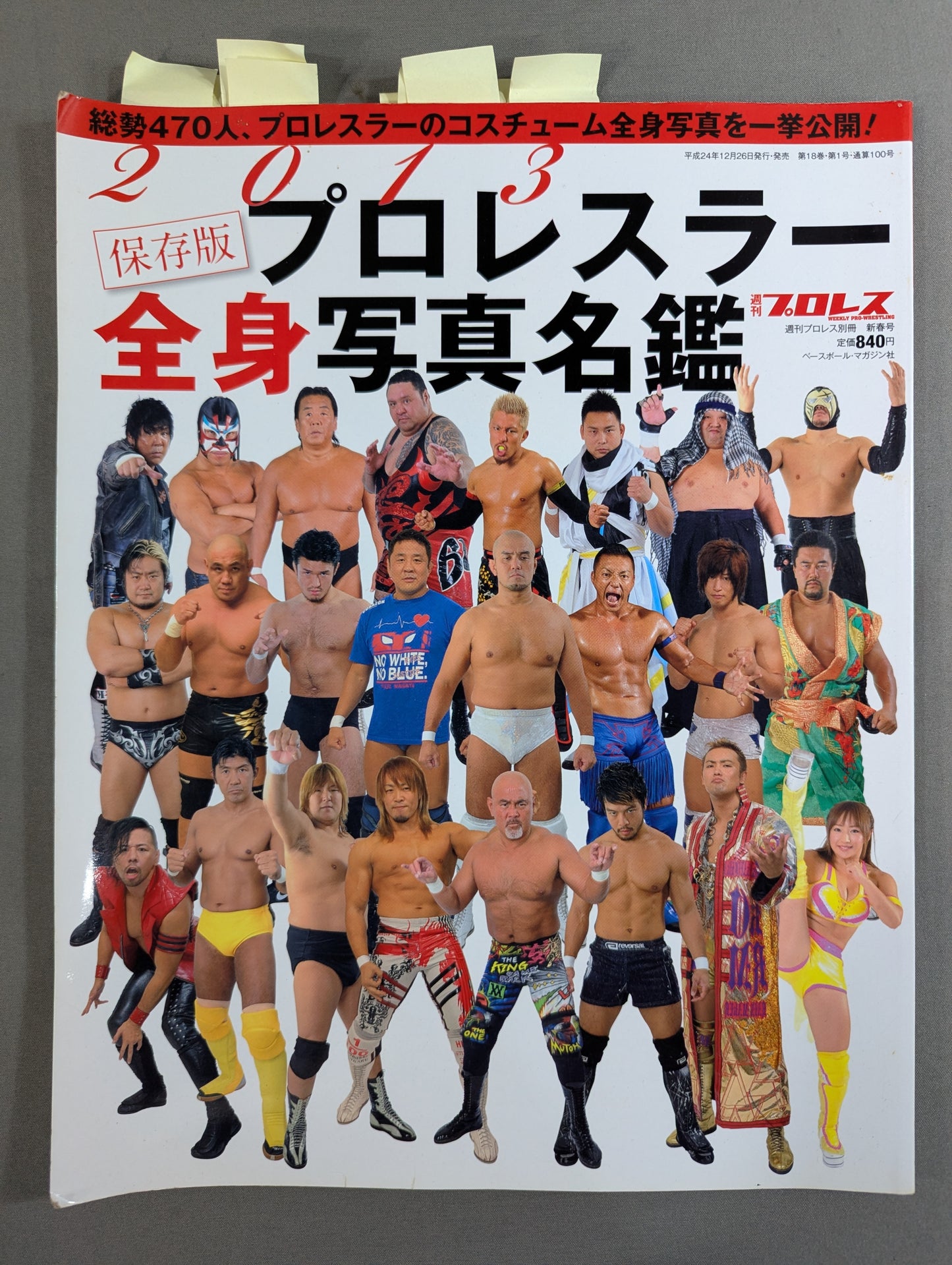 【13選手直筆サイン入り】週刊プロレス別冊100「2013 保存版プロレスラー全身写真名鑑」