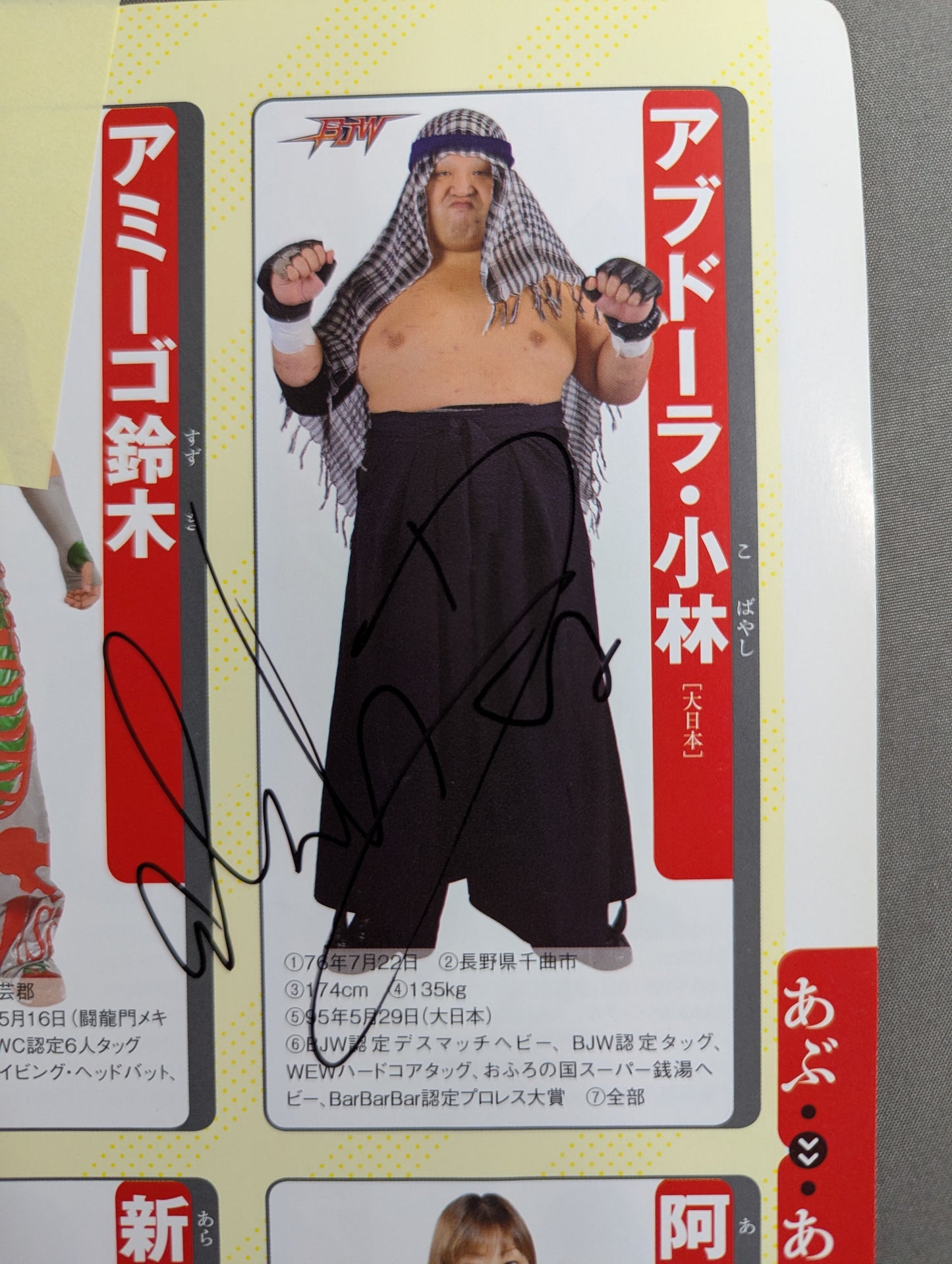 【13選手直筆サイン入り】週刊プロレス別冊100「2013 保存版プロレスラー全身写真名鑑」