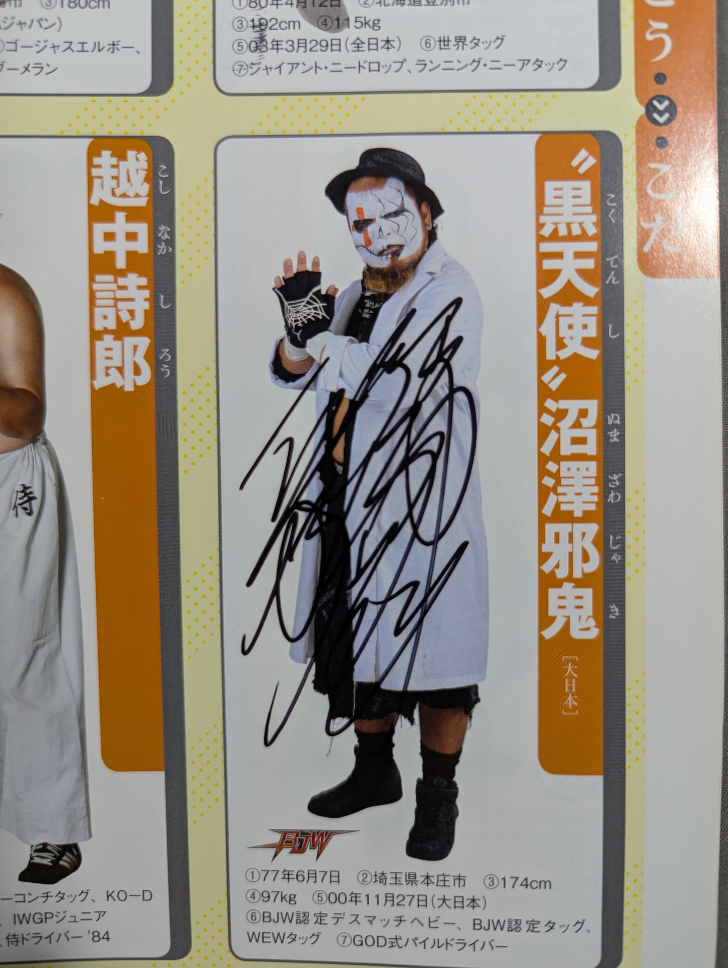 【13選手直筆サイン入り】週刊プロレス別冊100「2013 保存版プロレスラー全身写真名鑑」