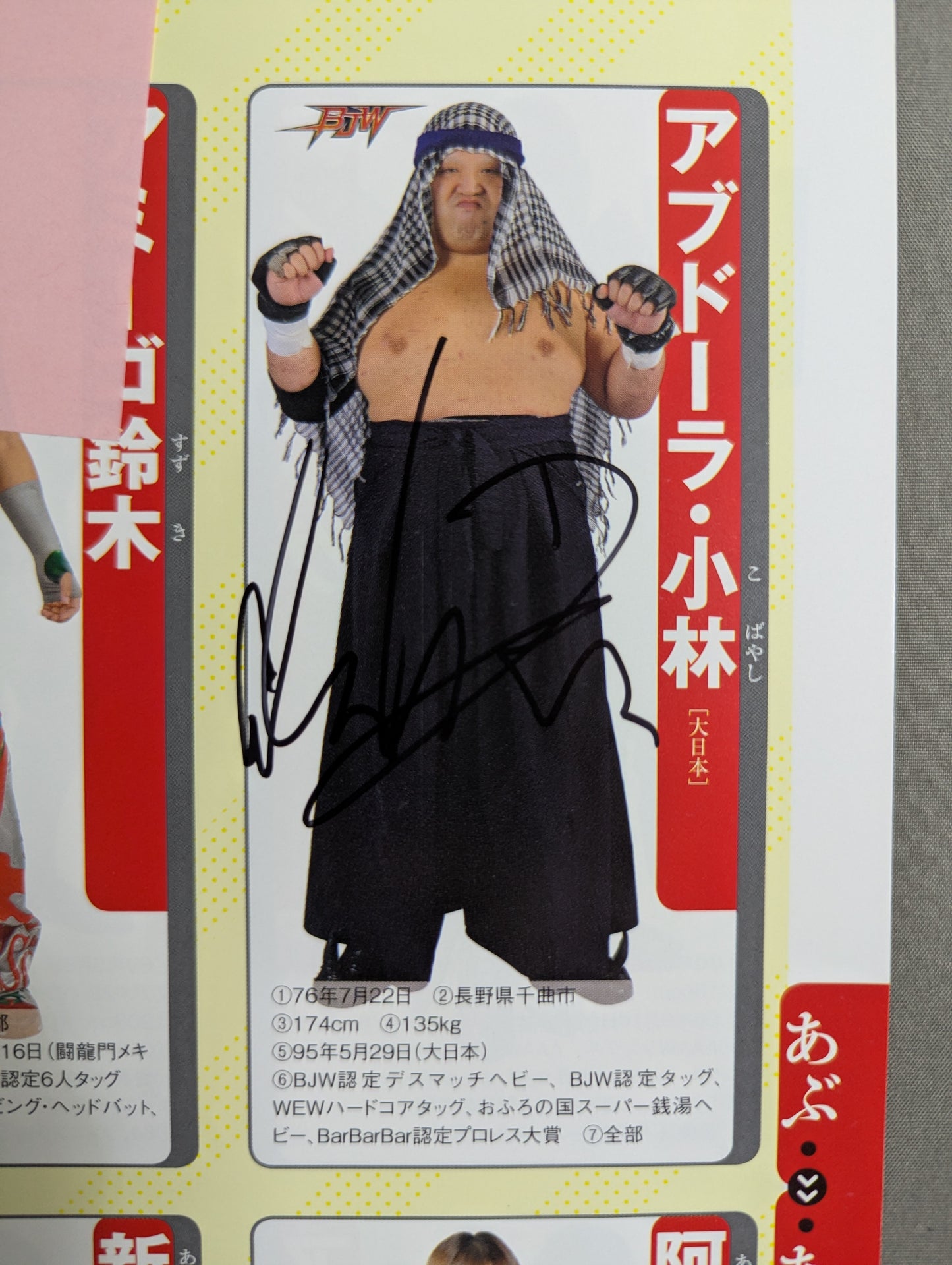 【9選手直筆サイン入り】週刊プロレス別冊100「2013 保存版プロレスラー全身写真名鑑」