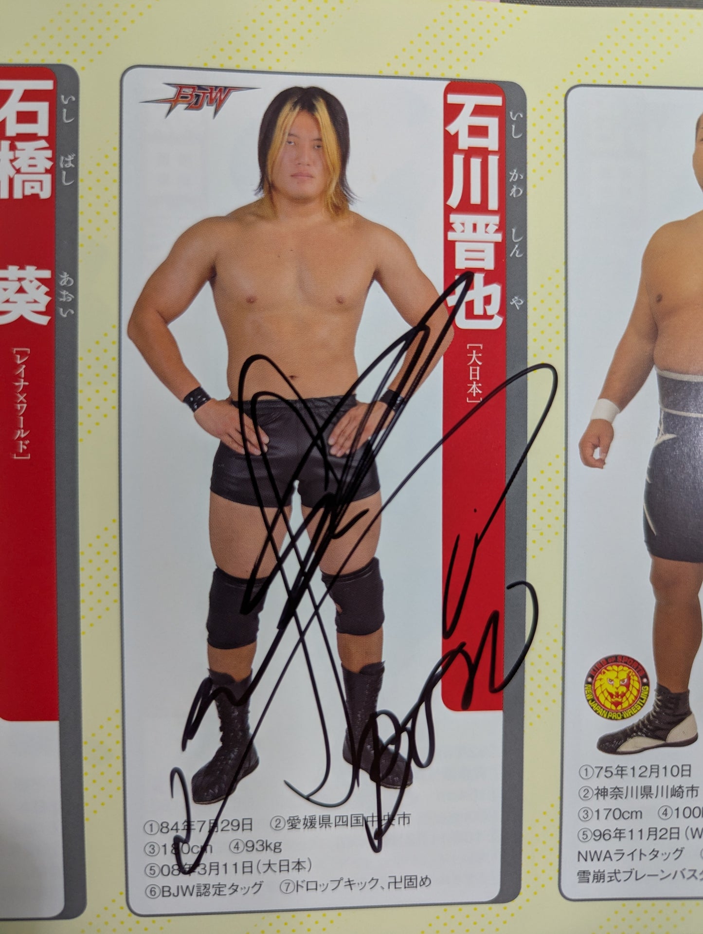 【9選手直筆サイン入り】週刊プロレス別冊100「2013 保存版プロレスラー全身写真名鑑」