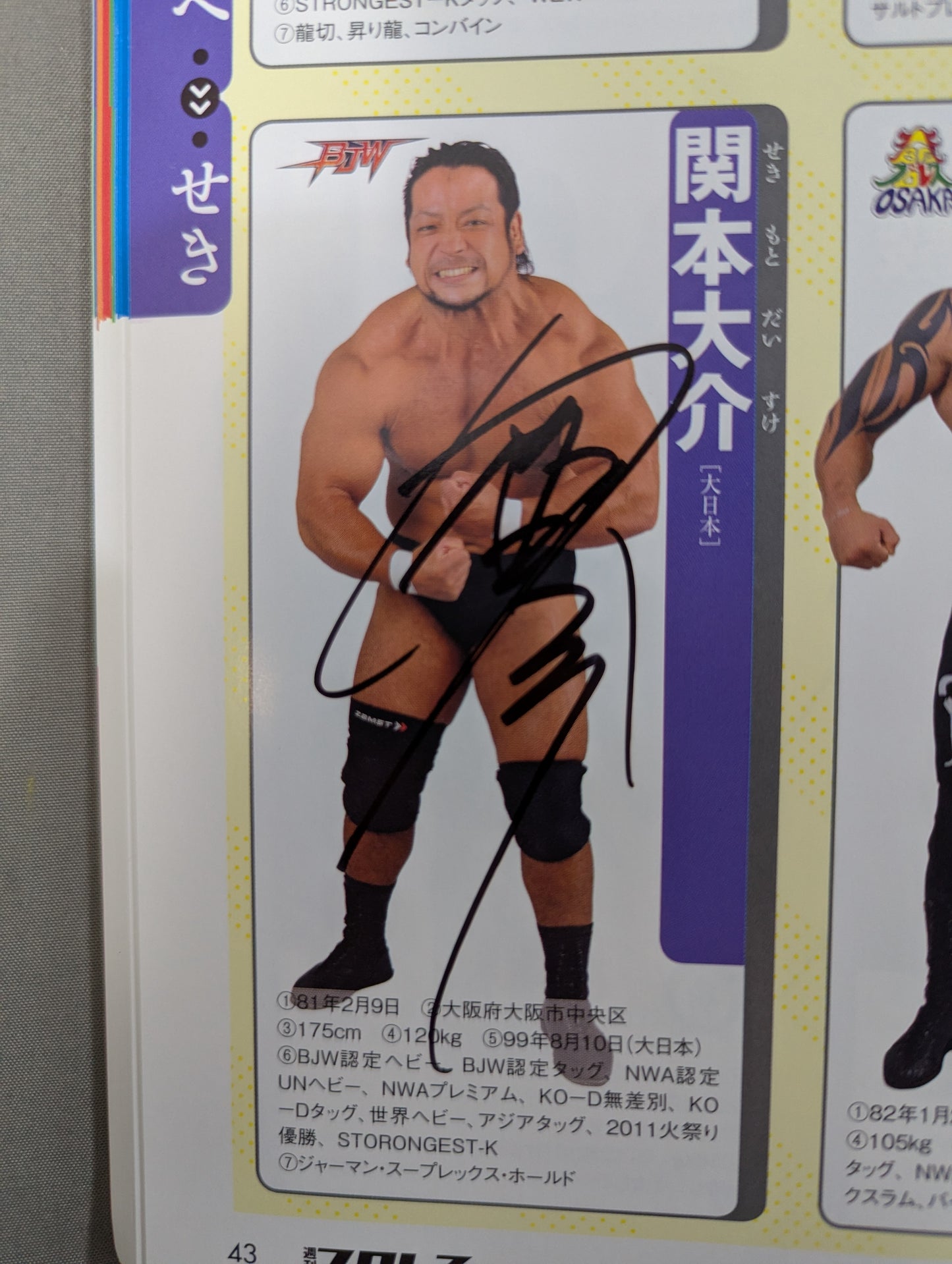 【9選手直筆サイン入り】週刊プロレス別冊100「2013 保存版プロレスラー全身写真名鑑」