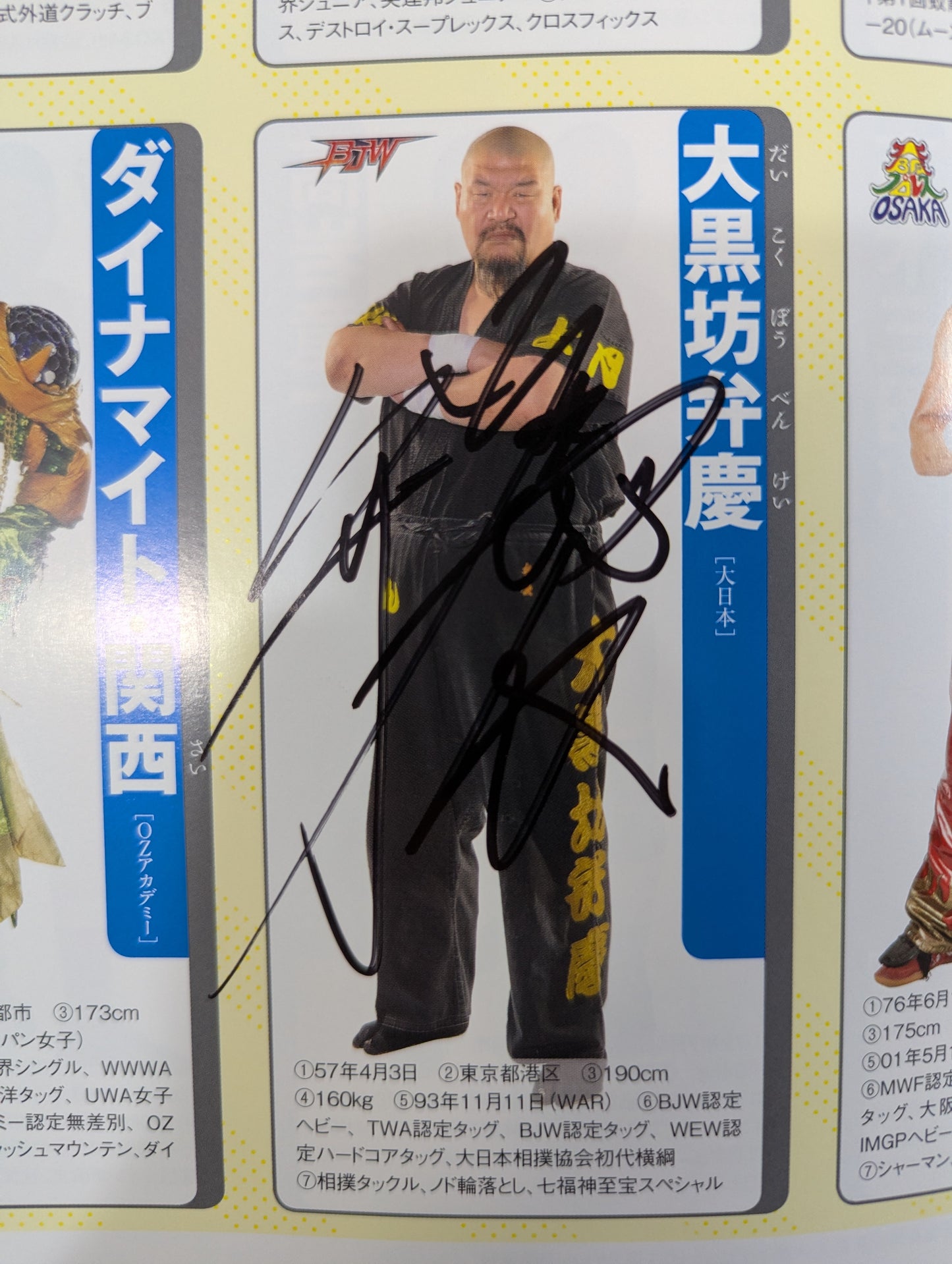 【9選手直筆サイン入り】週刊プロレス別冊100「2013 保存版プロレスラー全身写真名鑑」