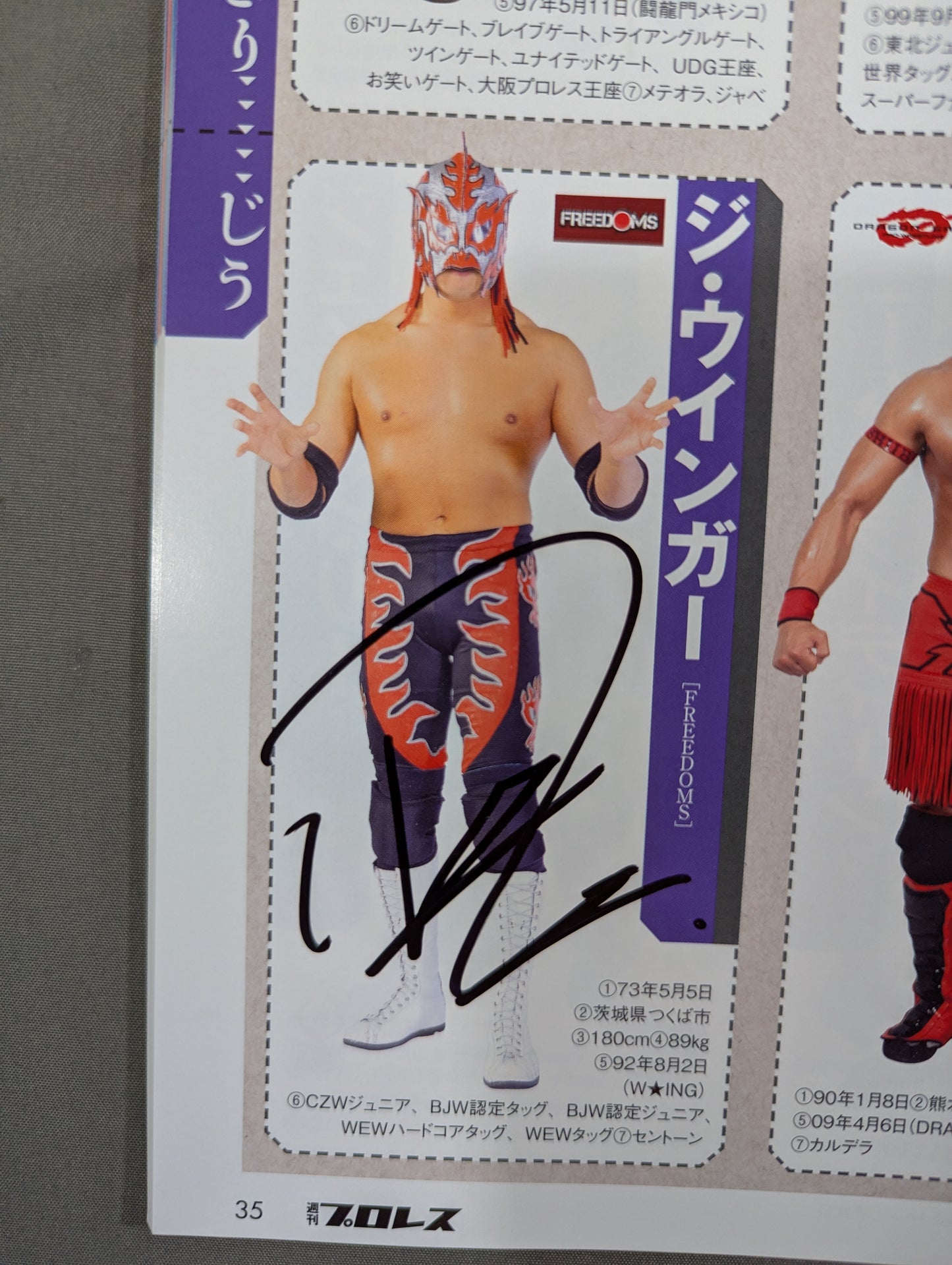 【24選手直筆サイン入り】週刊プロレス別冊108「2014 保存版プロレスラー全身写真名鑑」