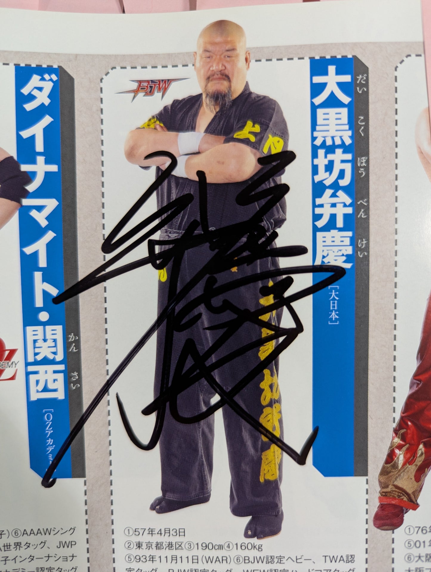 【24選手直筆サイン入り】週刊プロレス別冊108「2014 保存版プロレスラー全身写真名鑑」