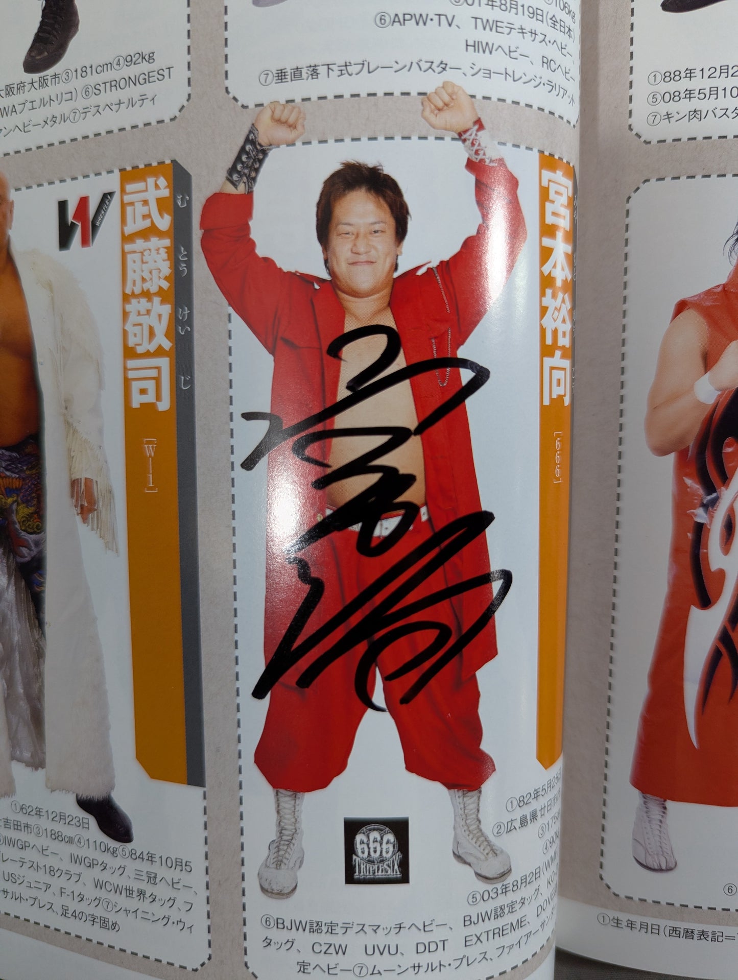 【24選手直筆サイン入り】週刊プロレス別冊108「2014 保存版プロレスラー全身写真名鑑」