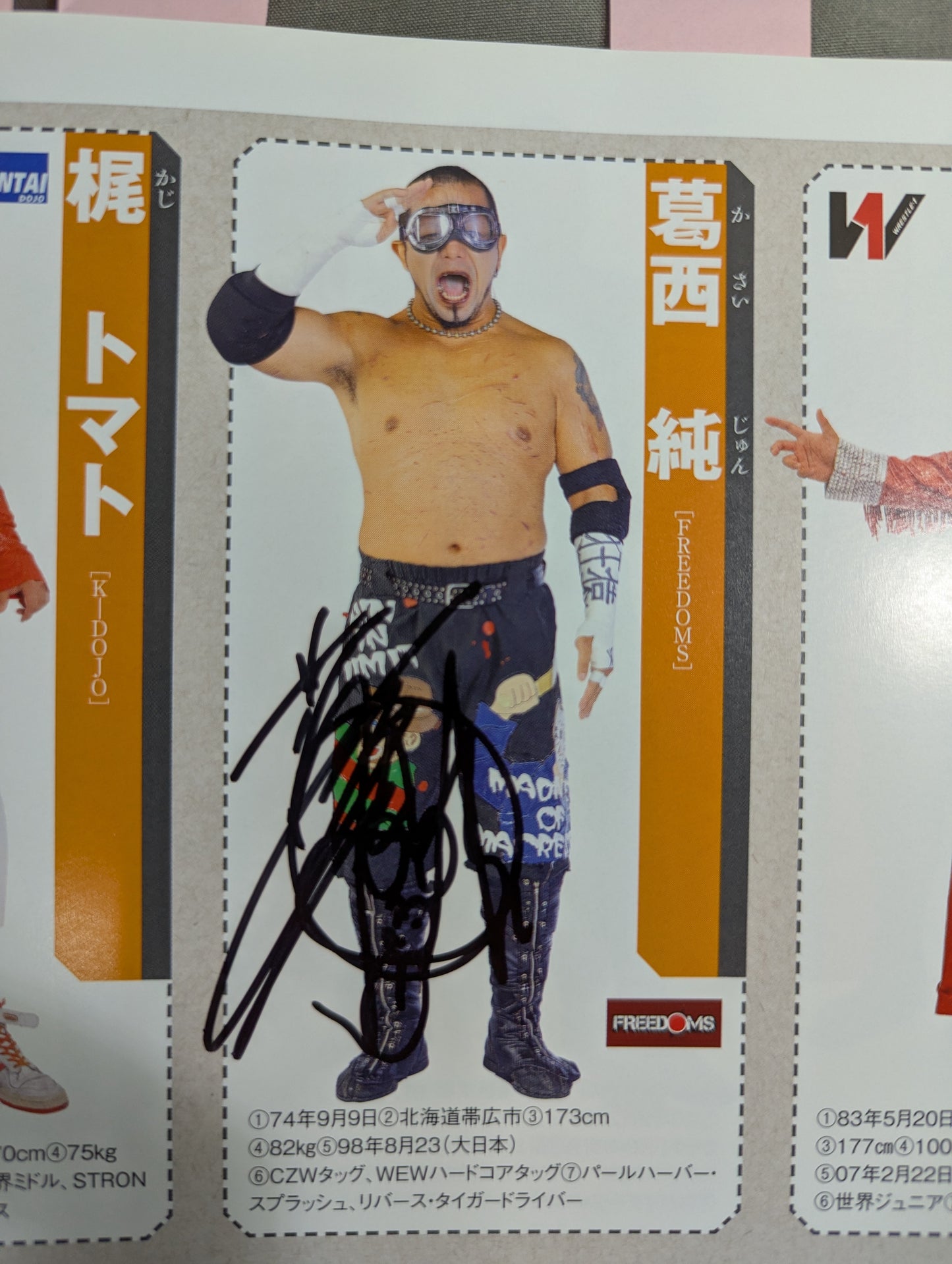 【24選手直筆サイン入り】週刊プロレス別冊108「2014 保存版プロレスラー全身写真名鑑」