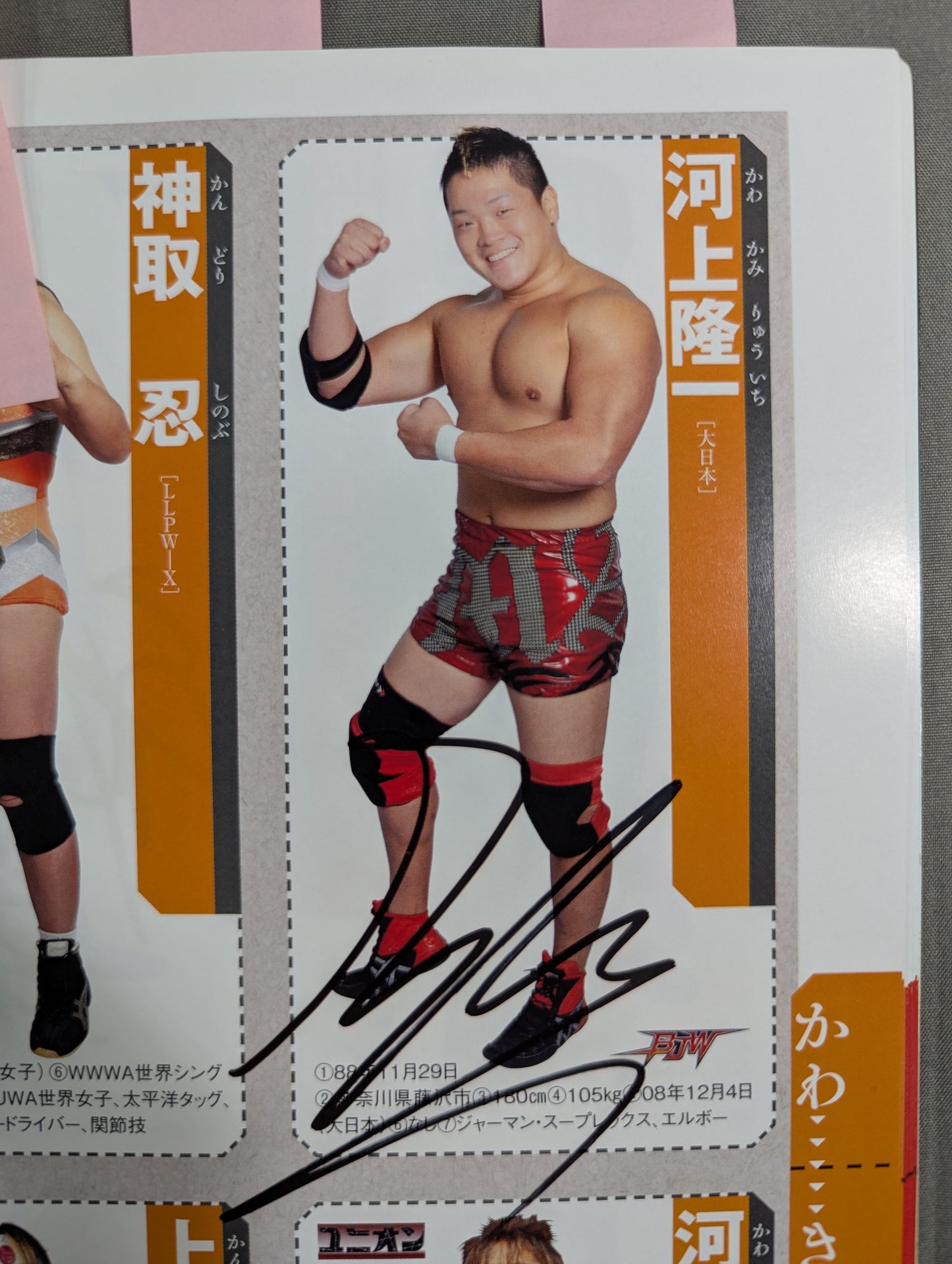 【24選手直筆サイン入り】週刊プロレス別冊108「2014 保存版プロレスラー全身写真名鑑」