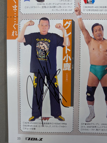 【24選手直筆サイン入り】週刊プロレス別冊108「2014 保存版プロレスラー全身写真名鑑」