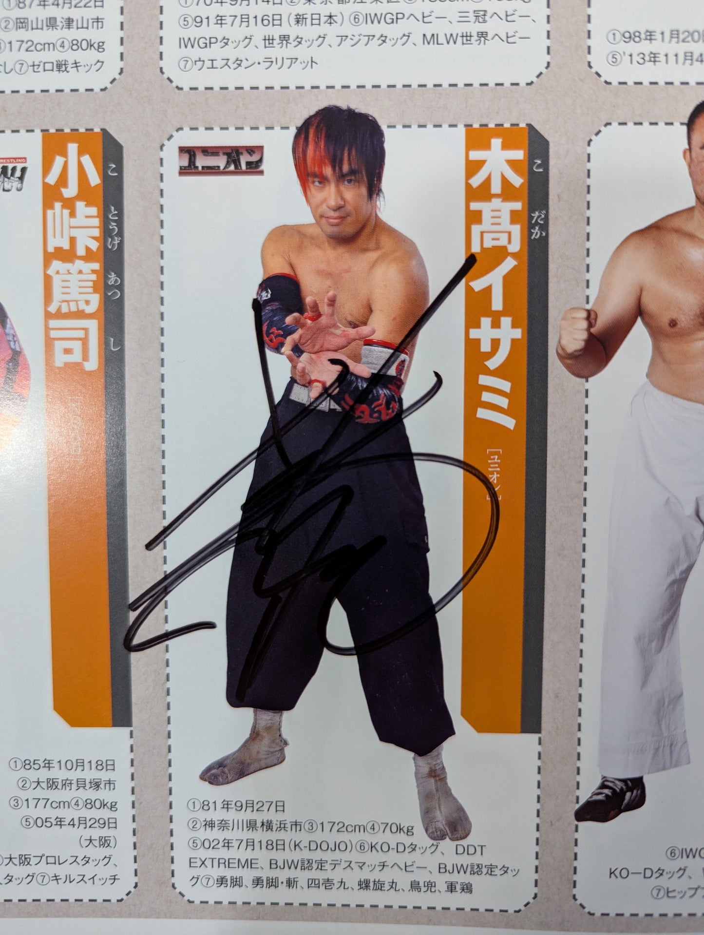【24選手直筆サイン入り】週刊プロレス別冊108「2014 保存版プロレスラー全身写真名鑑」