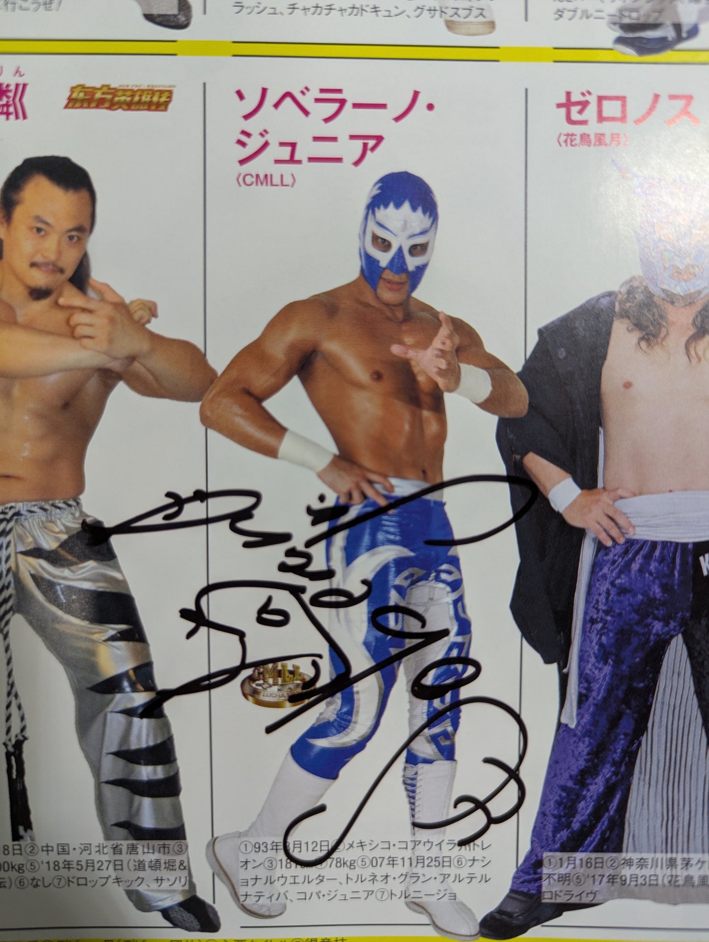 【5選手直筆サイン入り】週刊プロレス別冊143「2019 保存版プロレスラー全身写真名鑑」