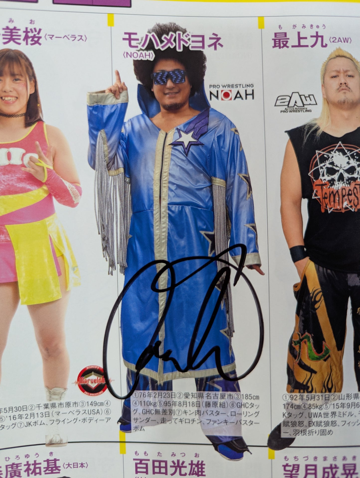 【14選手直筆サイン入り】週刊プロレス別冊144「2020 保存版プロレスラー全身写真名鑑」