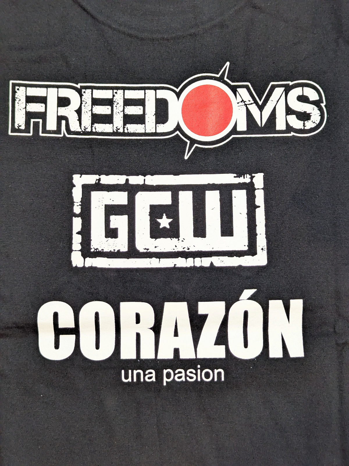 FREEDOMS旗揚げ13周年記念大会「FREEDOMS対GCW デスマッチ対抗戦 ピクチャーTシャツ