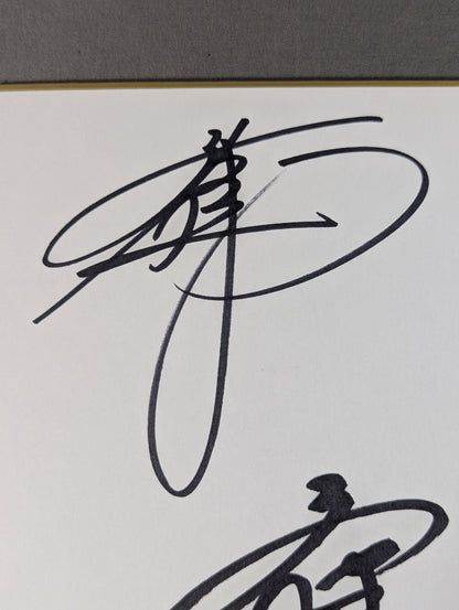 Jun Akiyama & Akitoshi Saito vs. Shinjiro Otani  & Daichi Hashimoto  (photo sticker  stick)