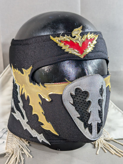 HAYABUSA 