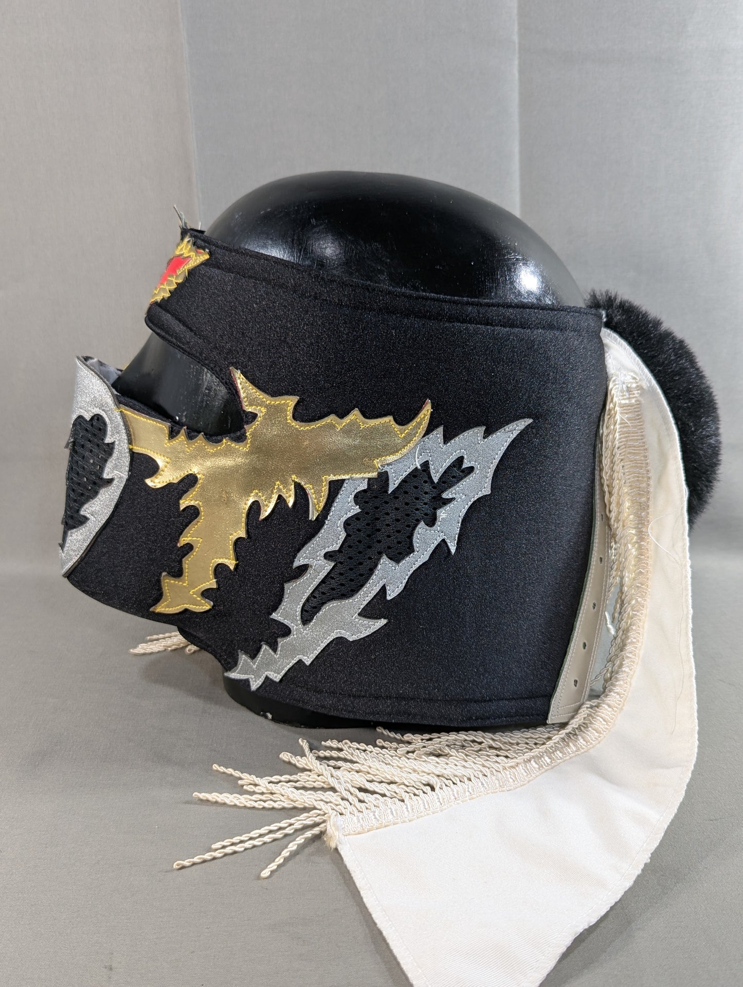 HAYABUSA 