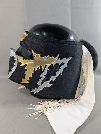 HAYABUSA 
