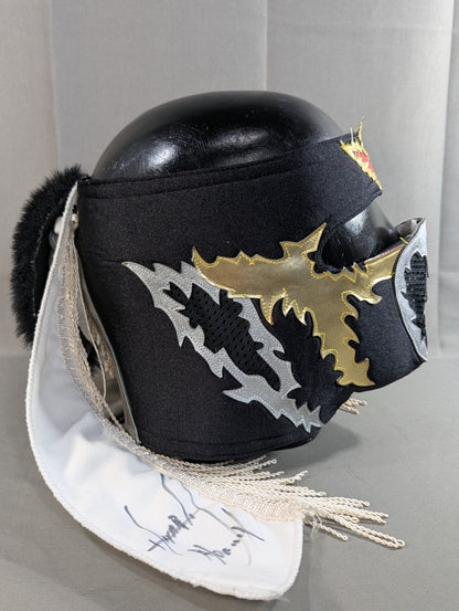 HAYABUSA 