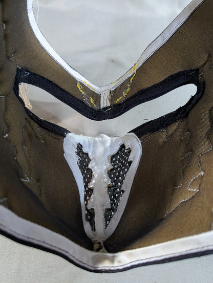 HAYABUSA 