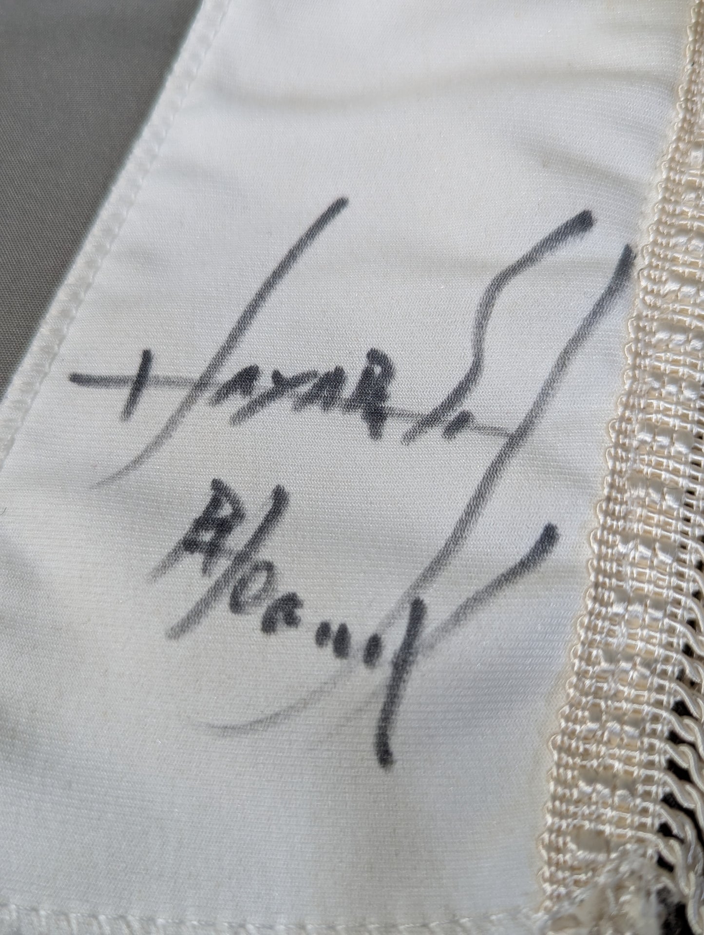 HAYABUSA 