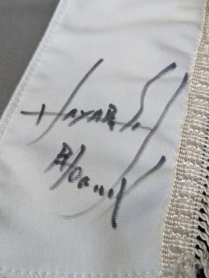 HAYABUSA 