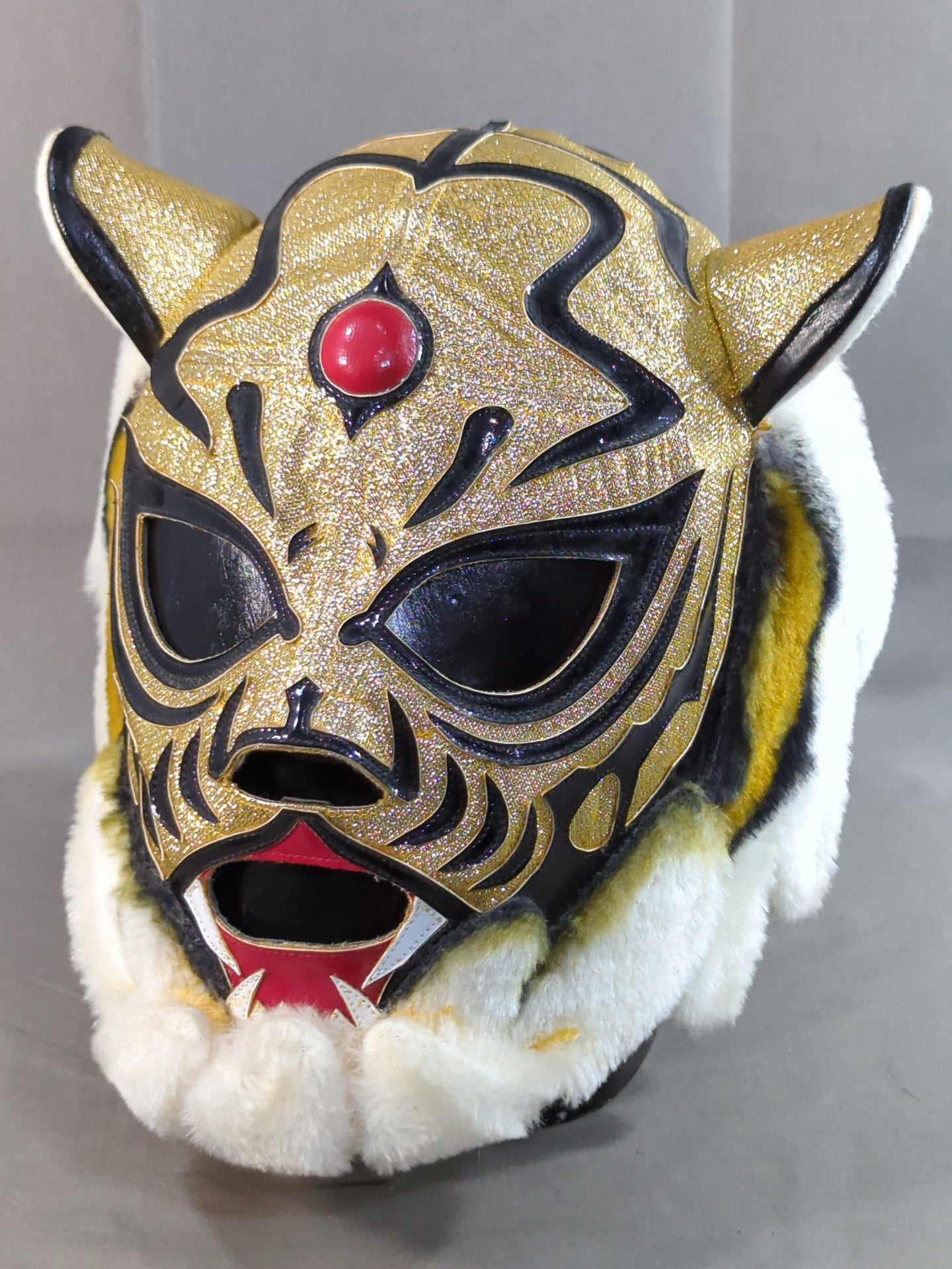 The first Tiger Mask – 闘道館