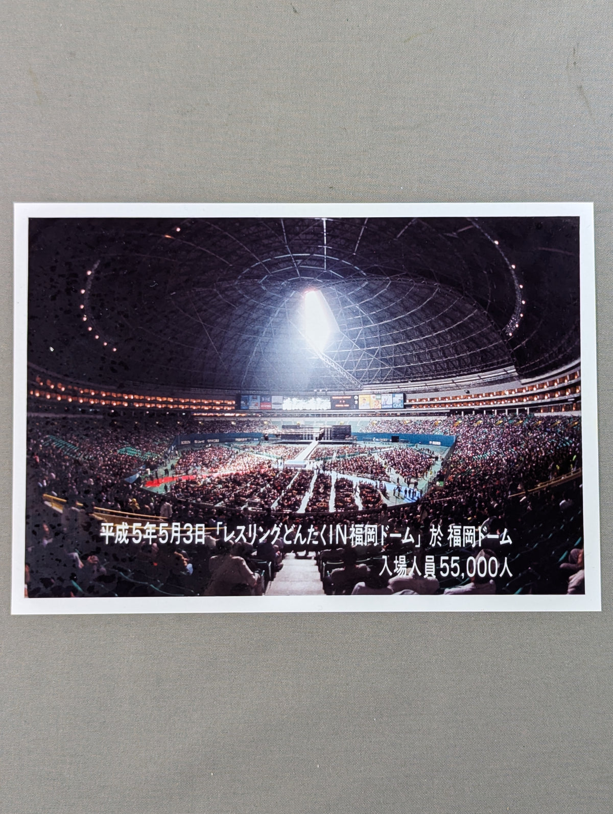 ★写真付★ WRESTLING DONTAKU in FUKUOKA DOME 1993